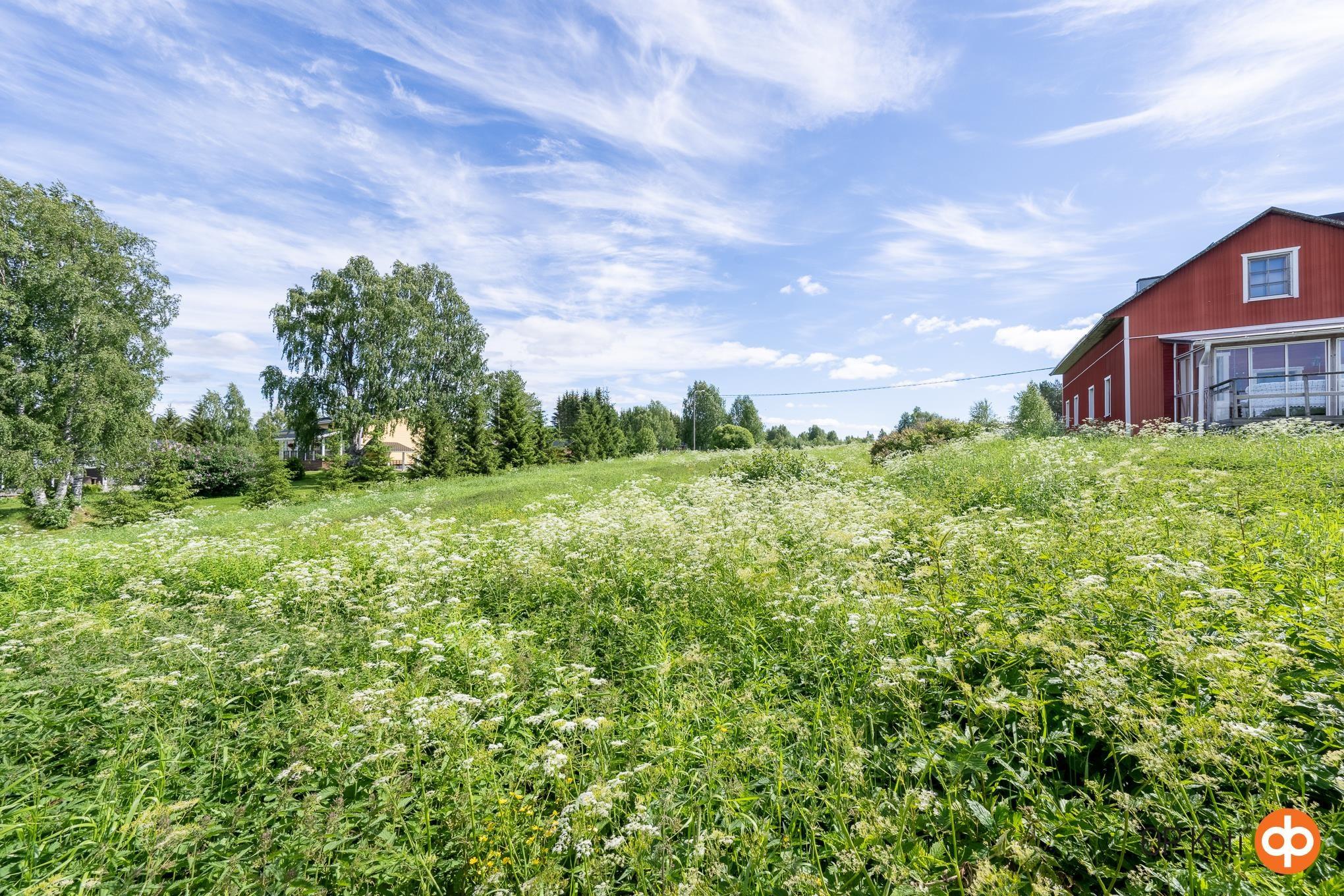 Kohdekuva 20