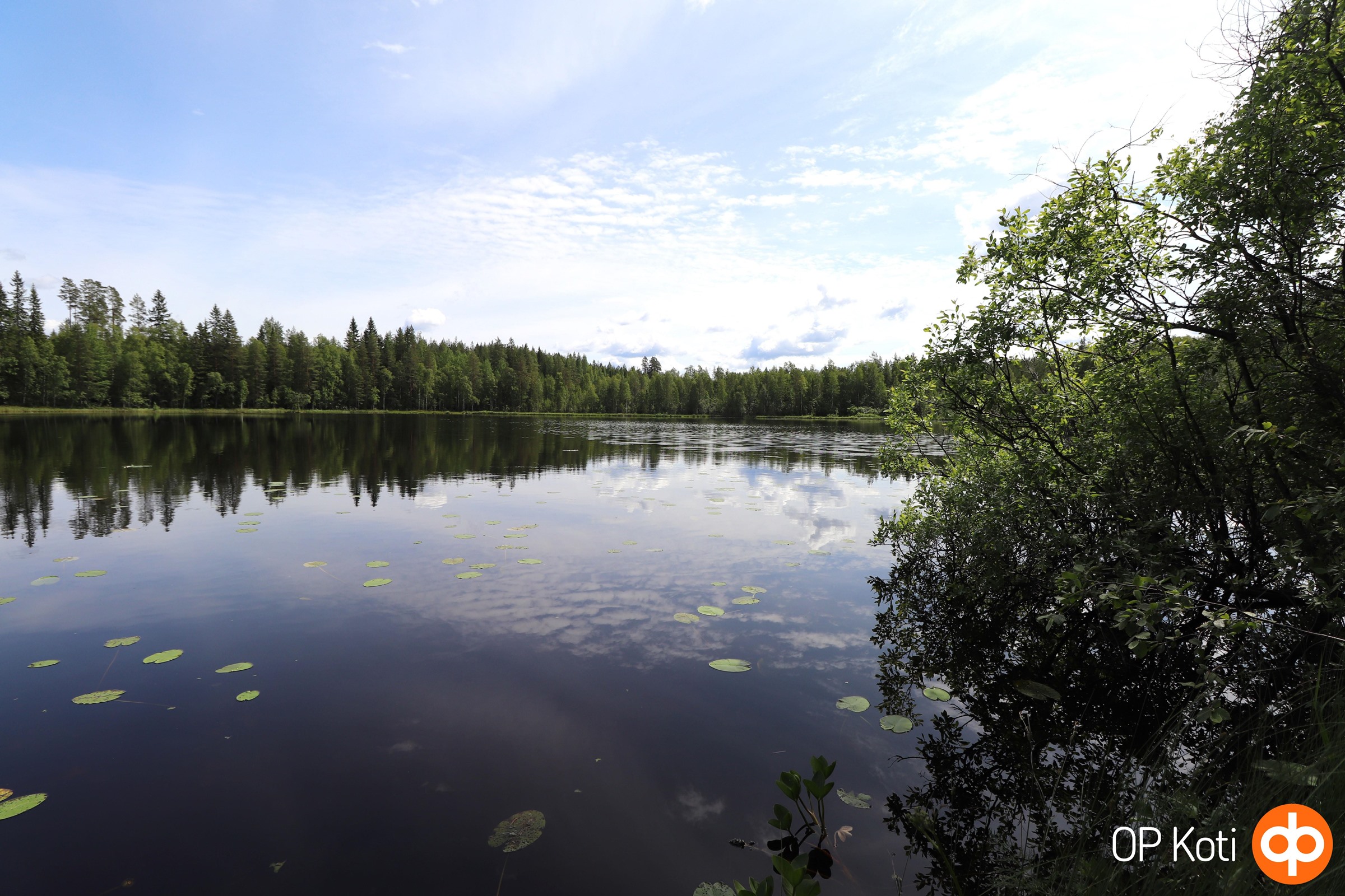 Rantamaisema