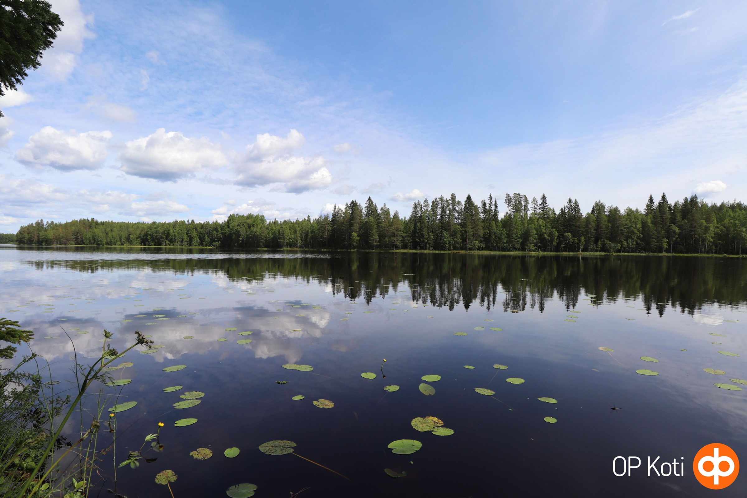 Rantamaisema