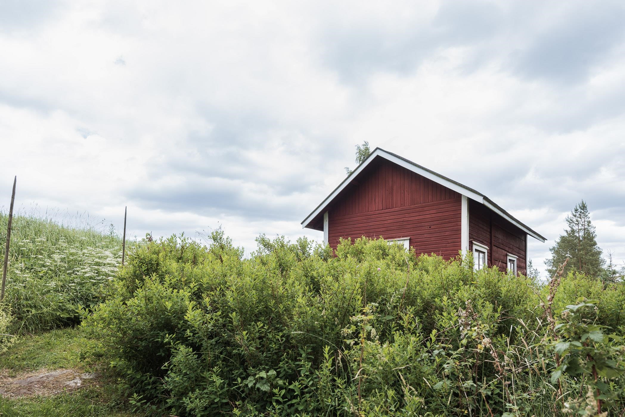 Kohdekuva 48