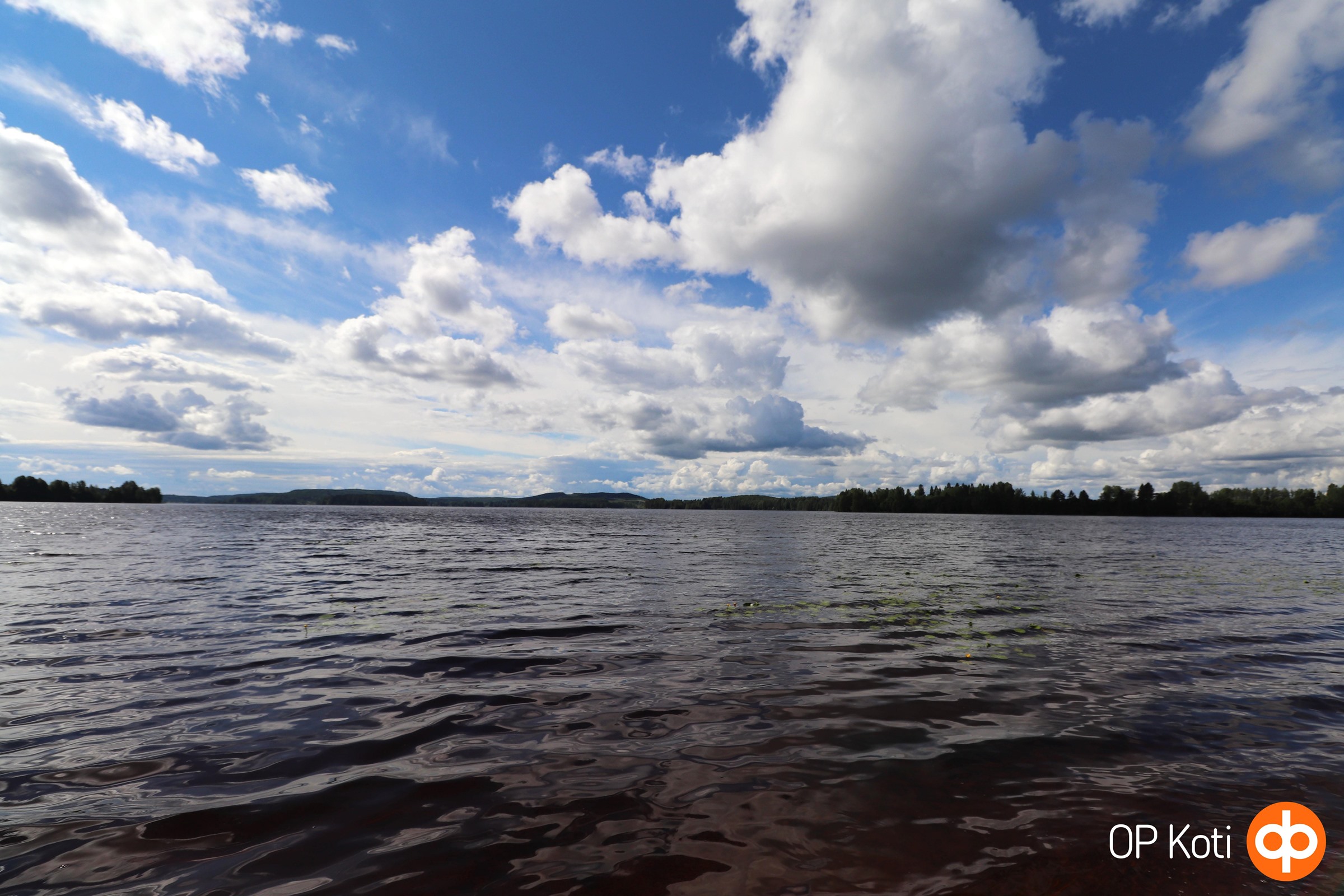 Järvimaisema