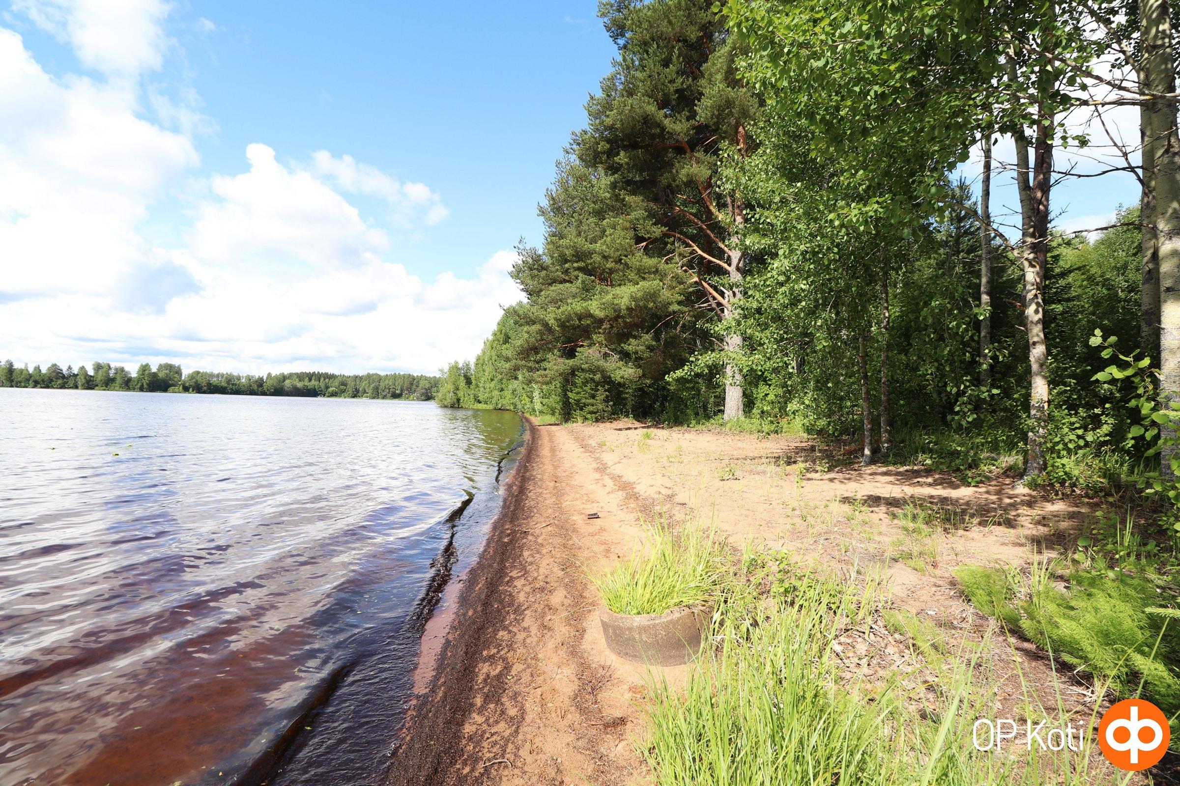 Ranta