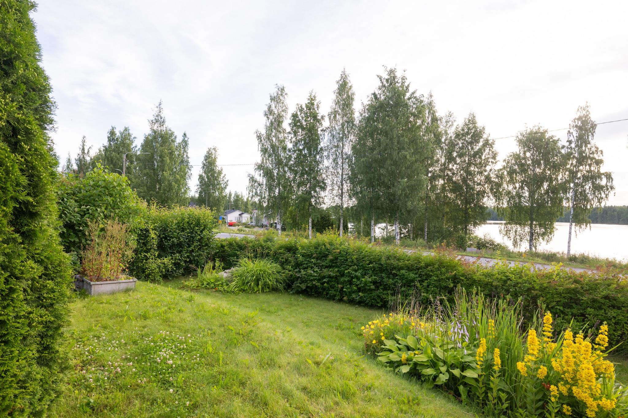 Kohdekuva 36