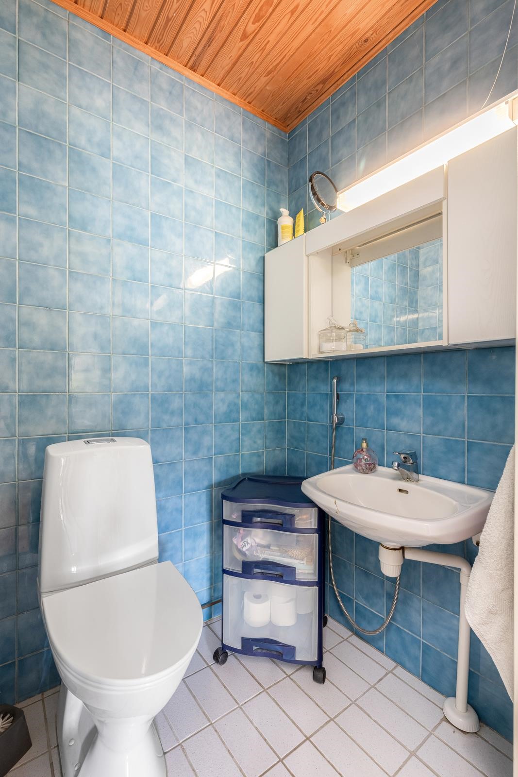 Erillinen wc