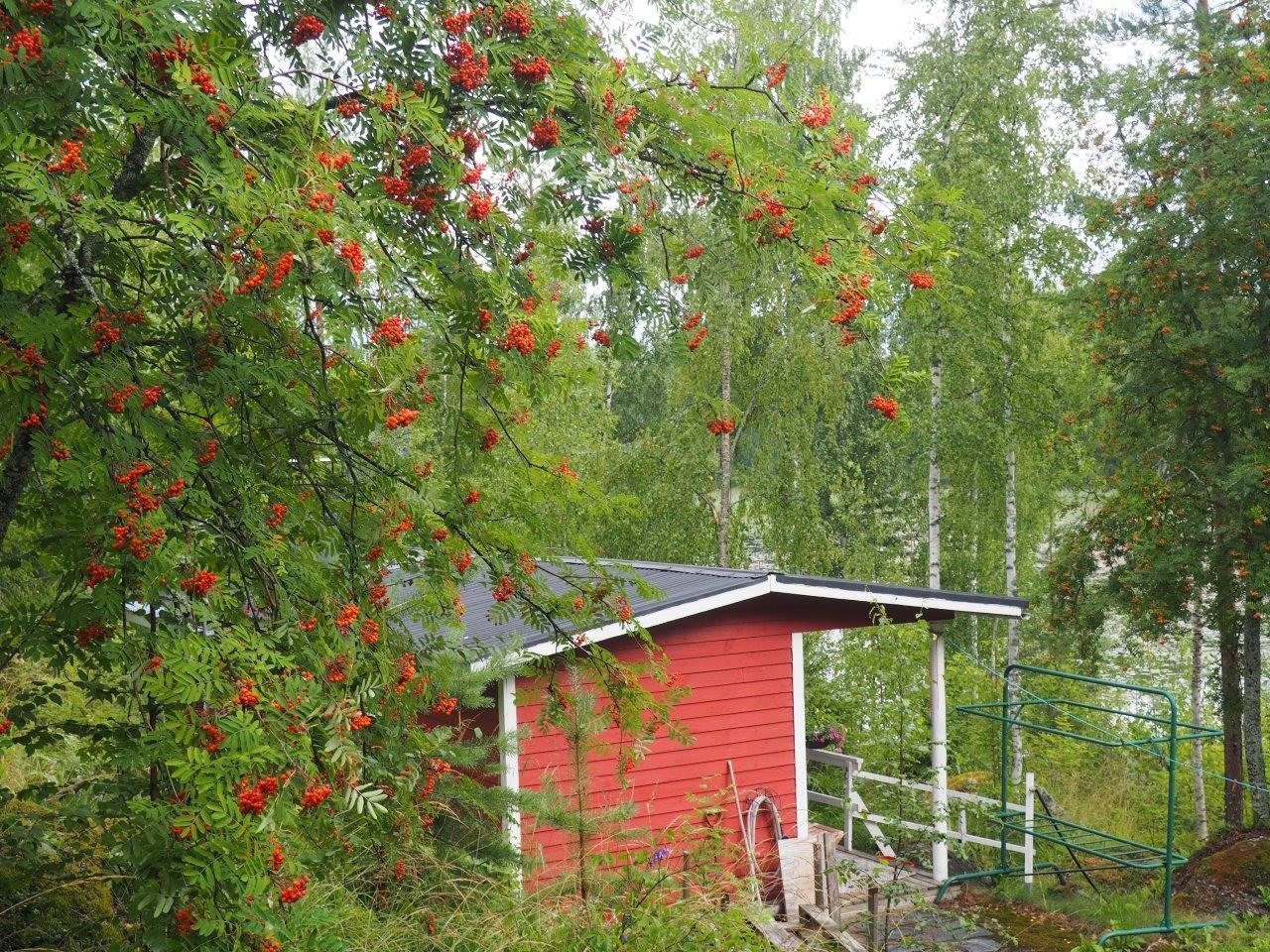 Kohdekuva 20
