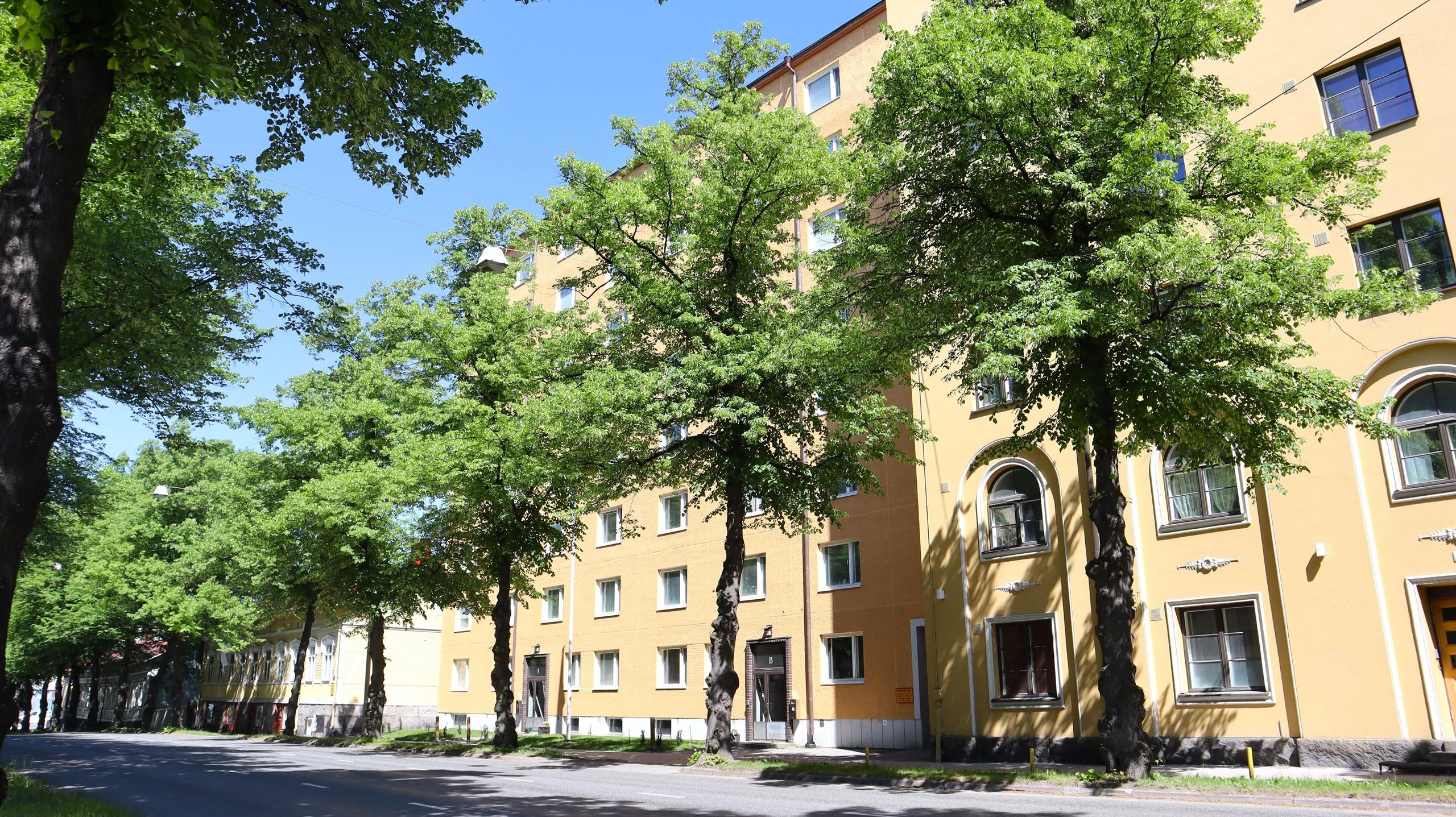 Kohdekuva 1