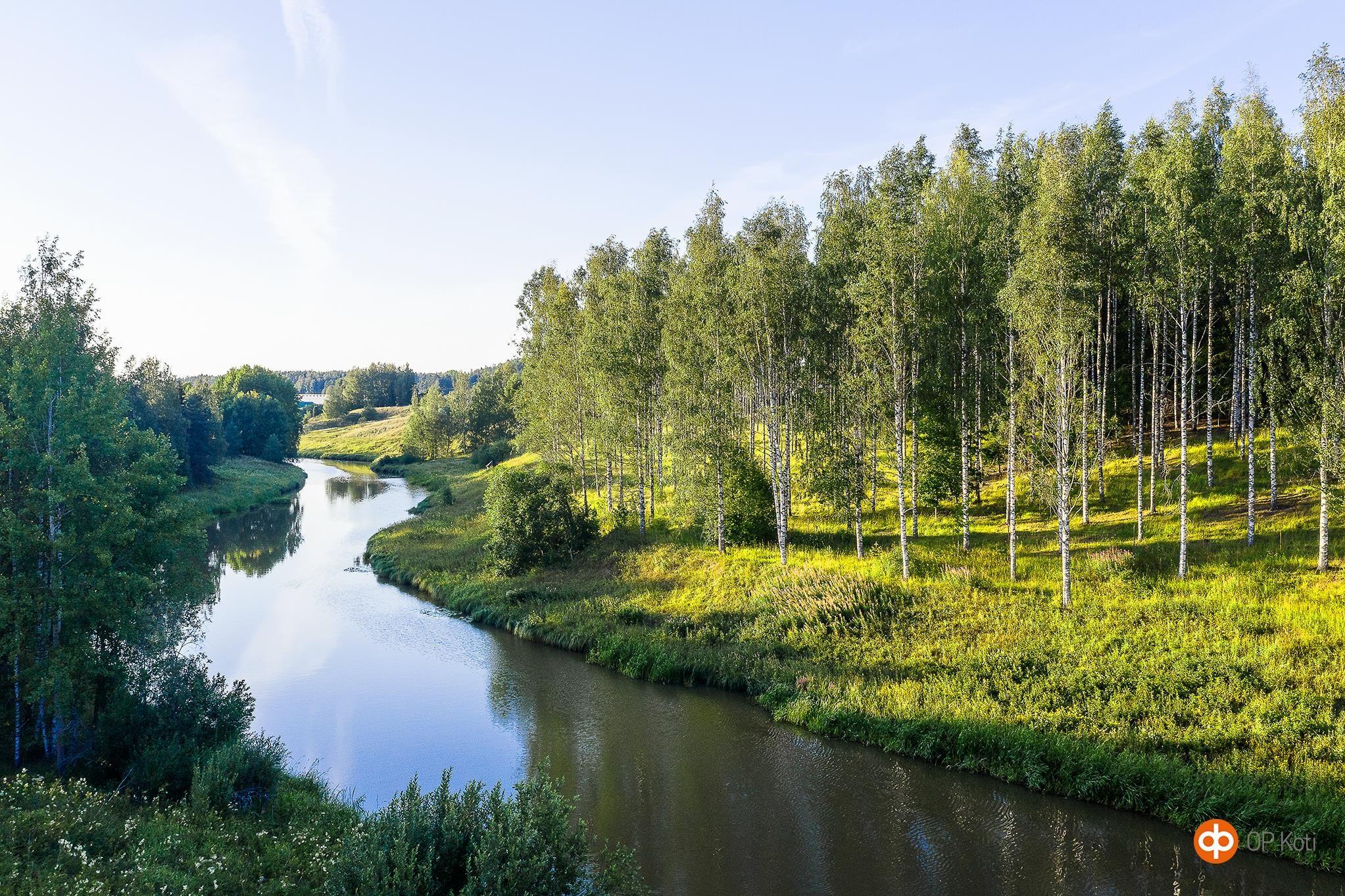 Kohdekuva 41