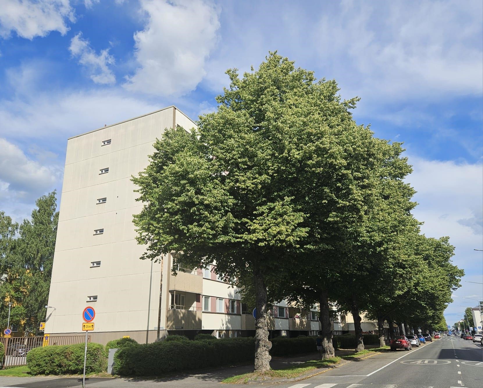 Kohdekuva 2