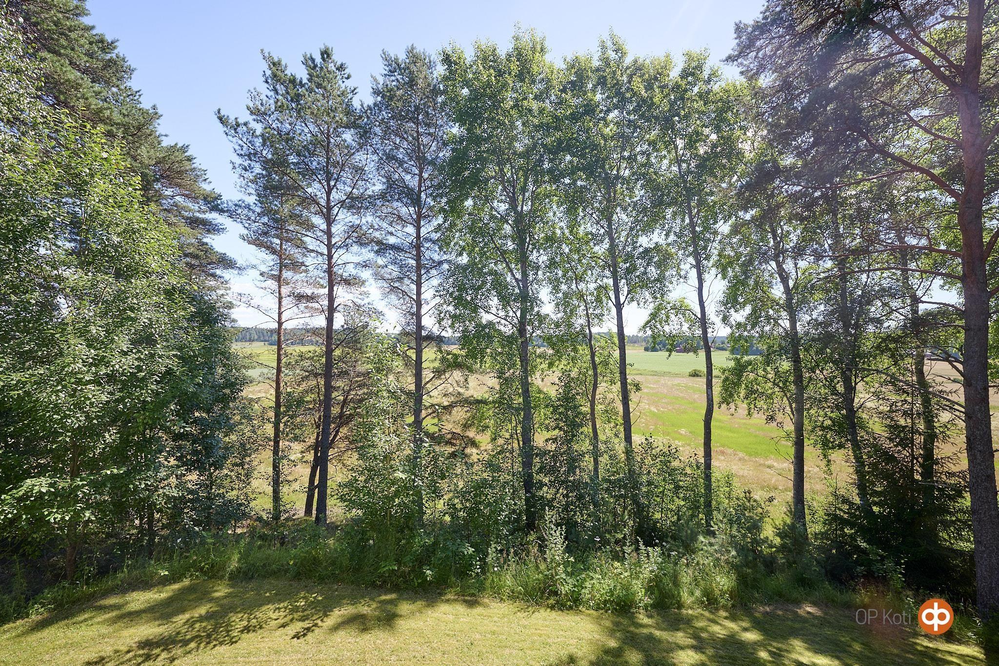 Kohdekuva 32