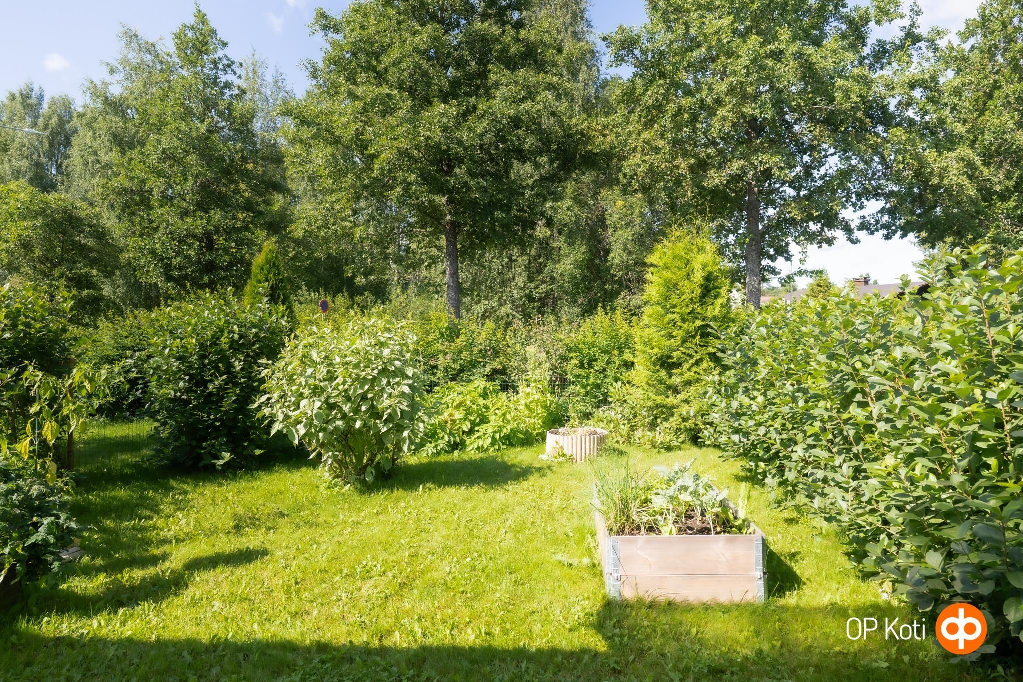 Kohdekuva 12