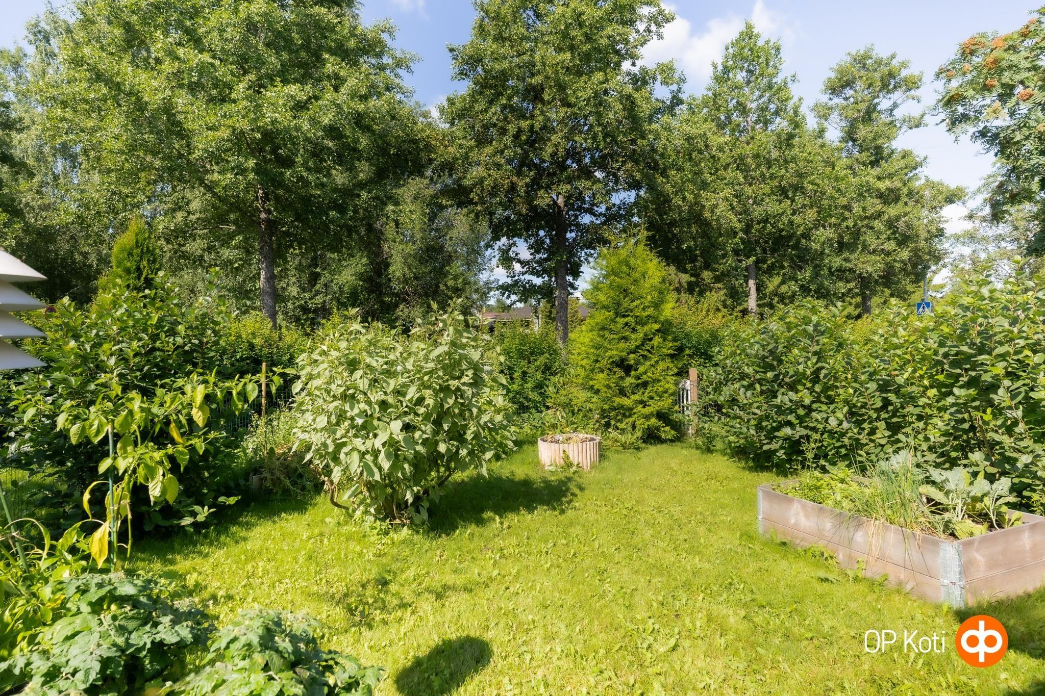 Kohdekuva 24