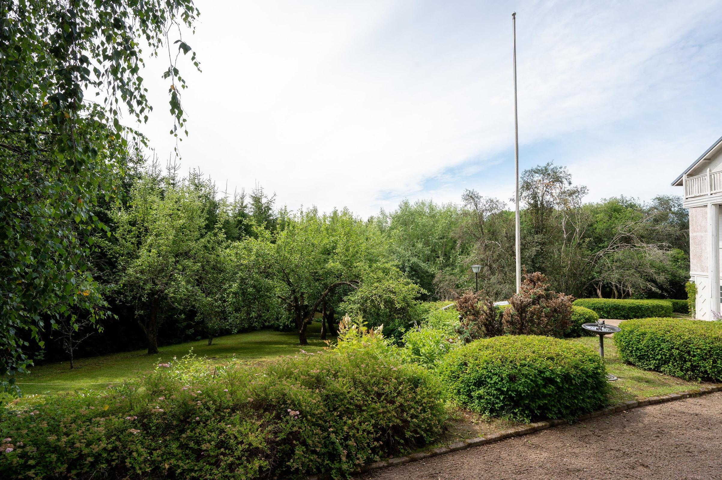 Kohdekuva 44