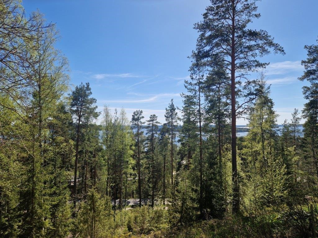 Kohdekuva 16