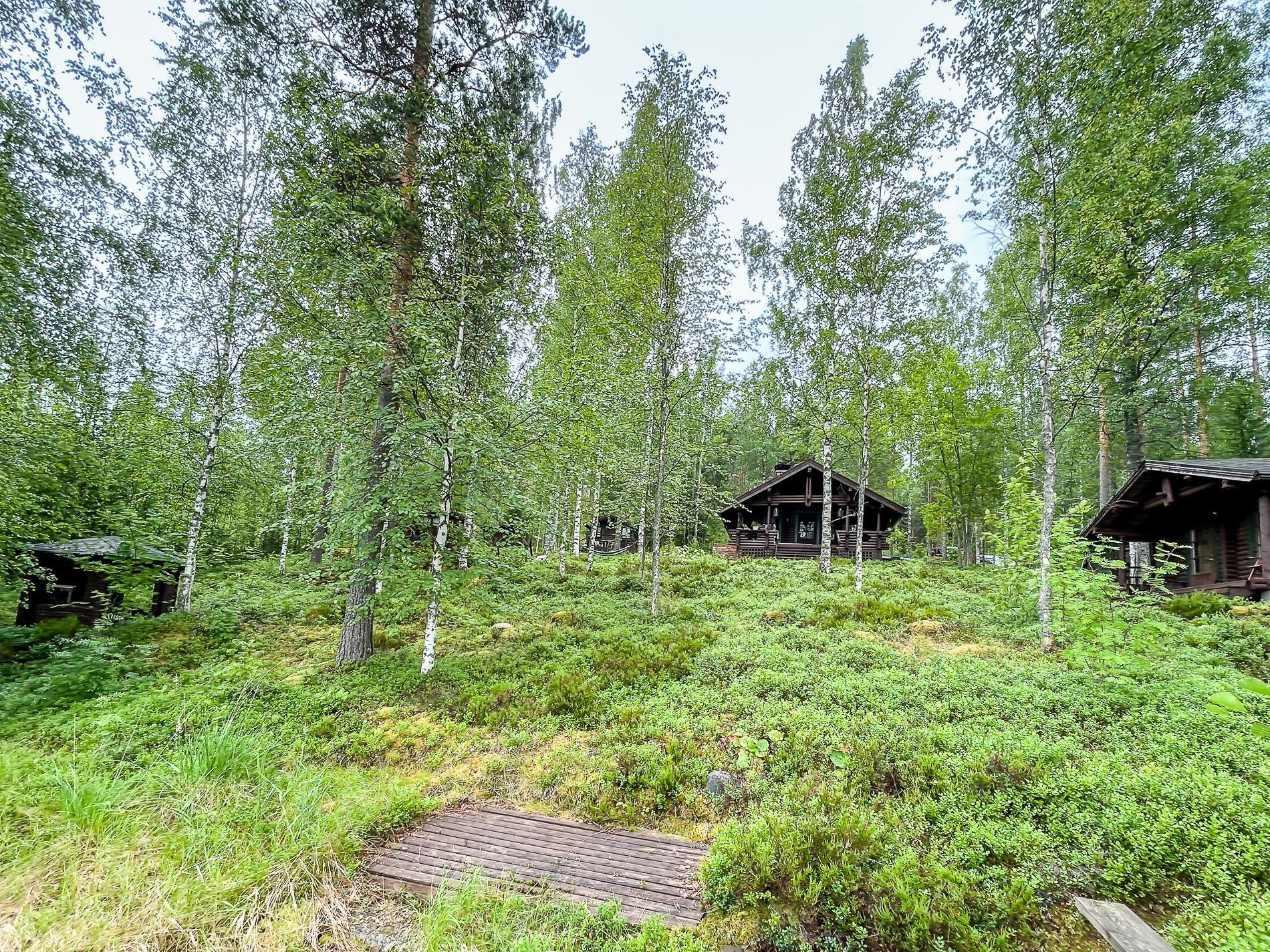Rannasta mökille päin