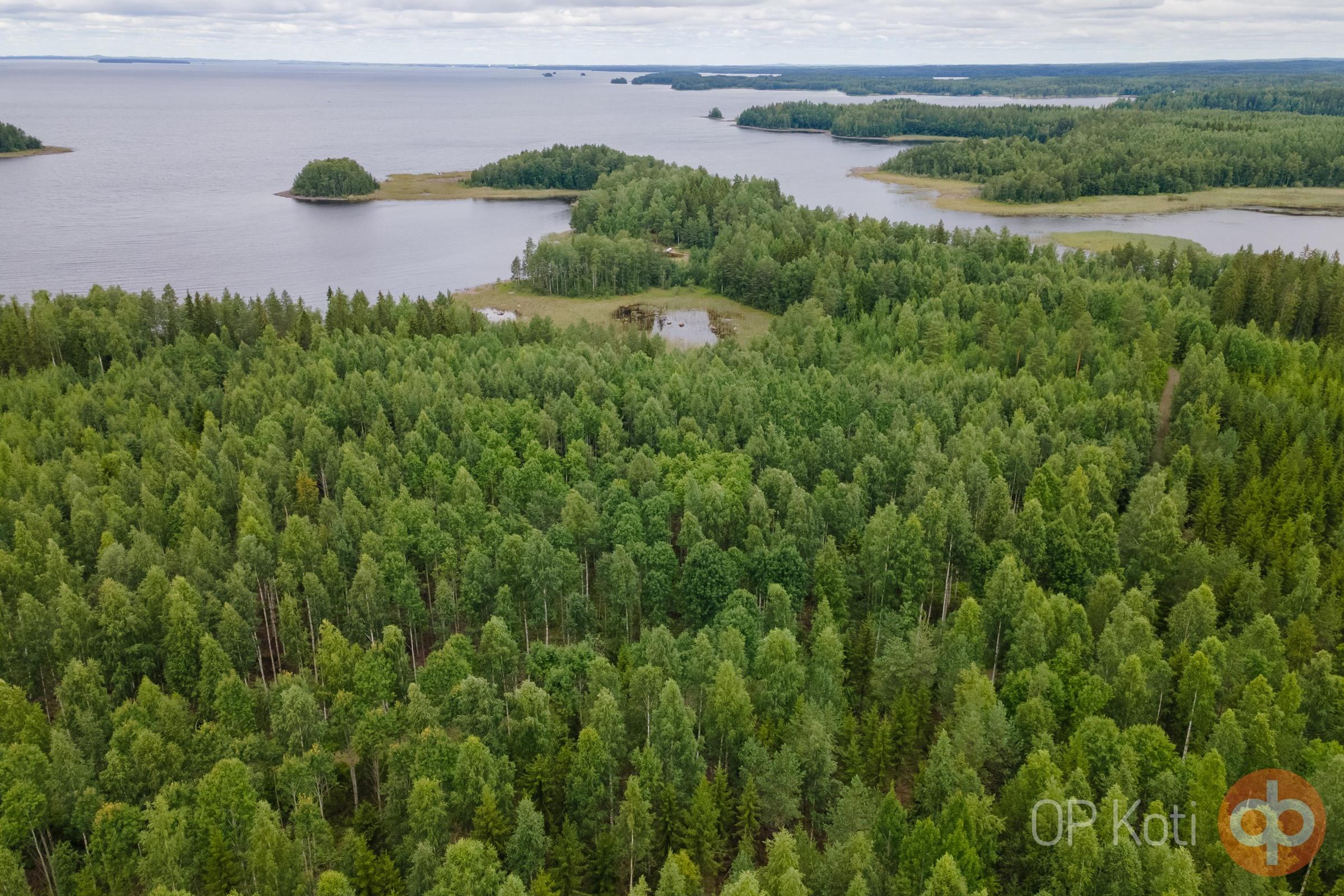 Kohdekuva 6