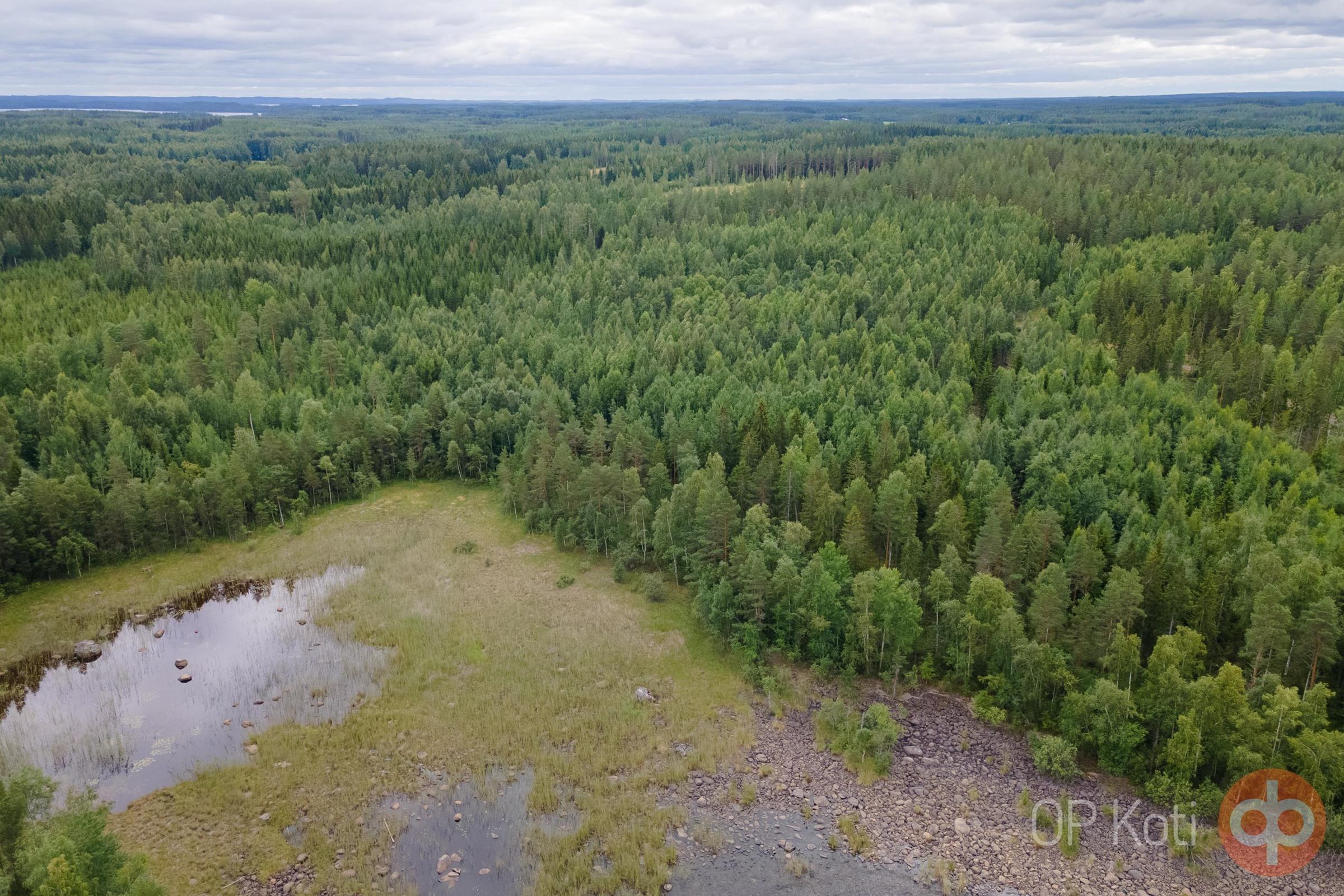 Kohdekuva 12