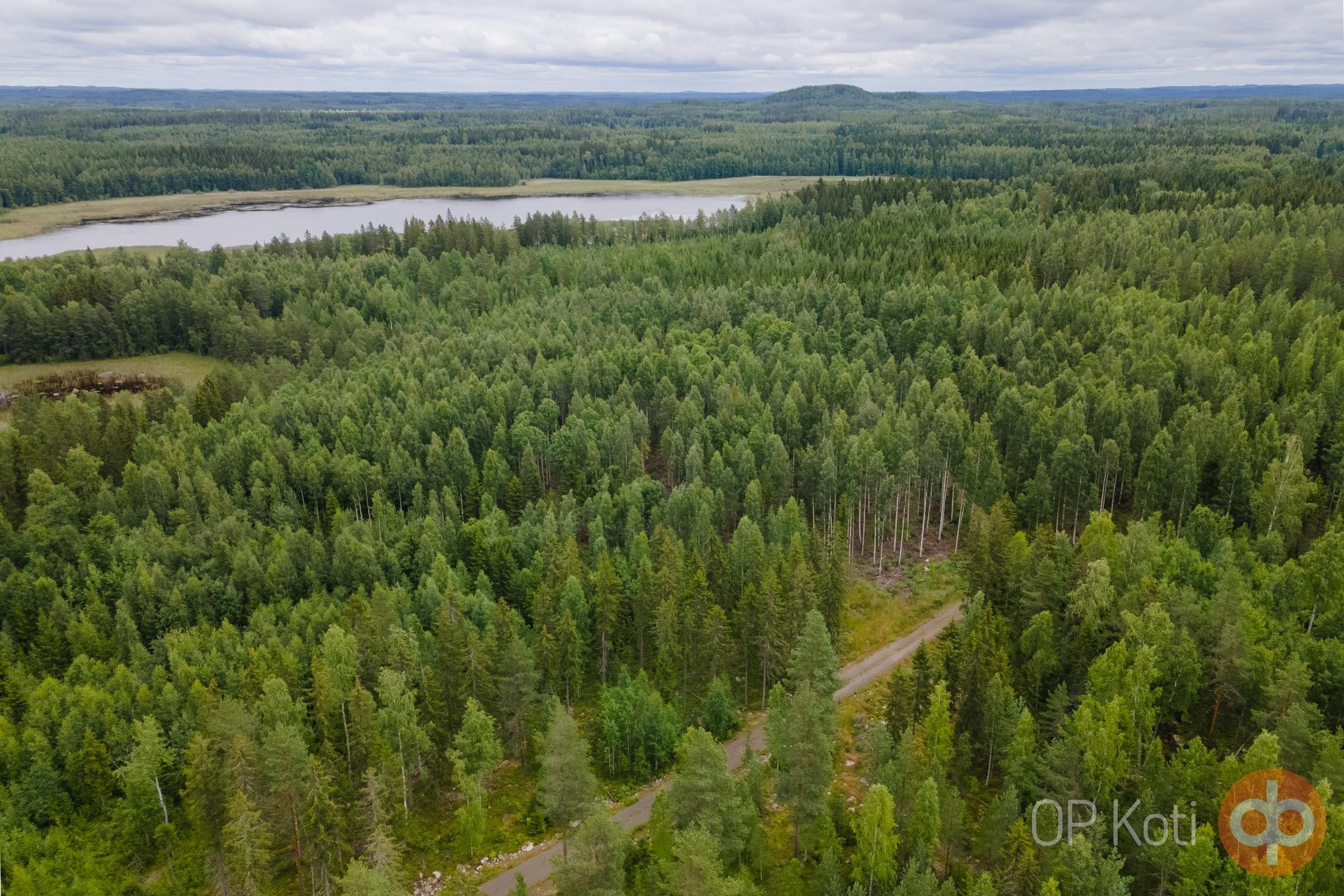 Kohdekuva 9