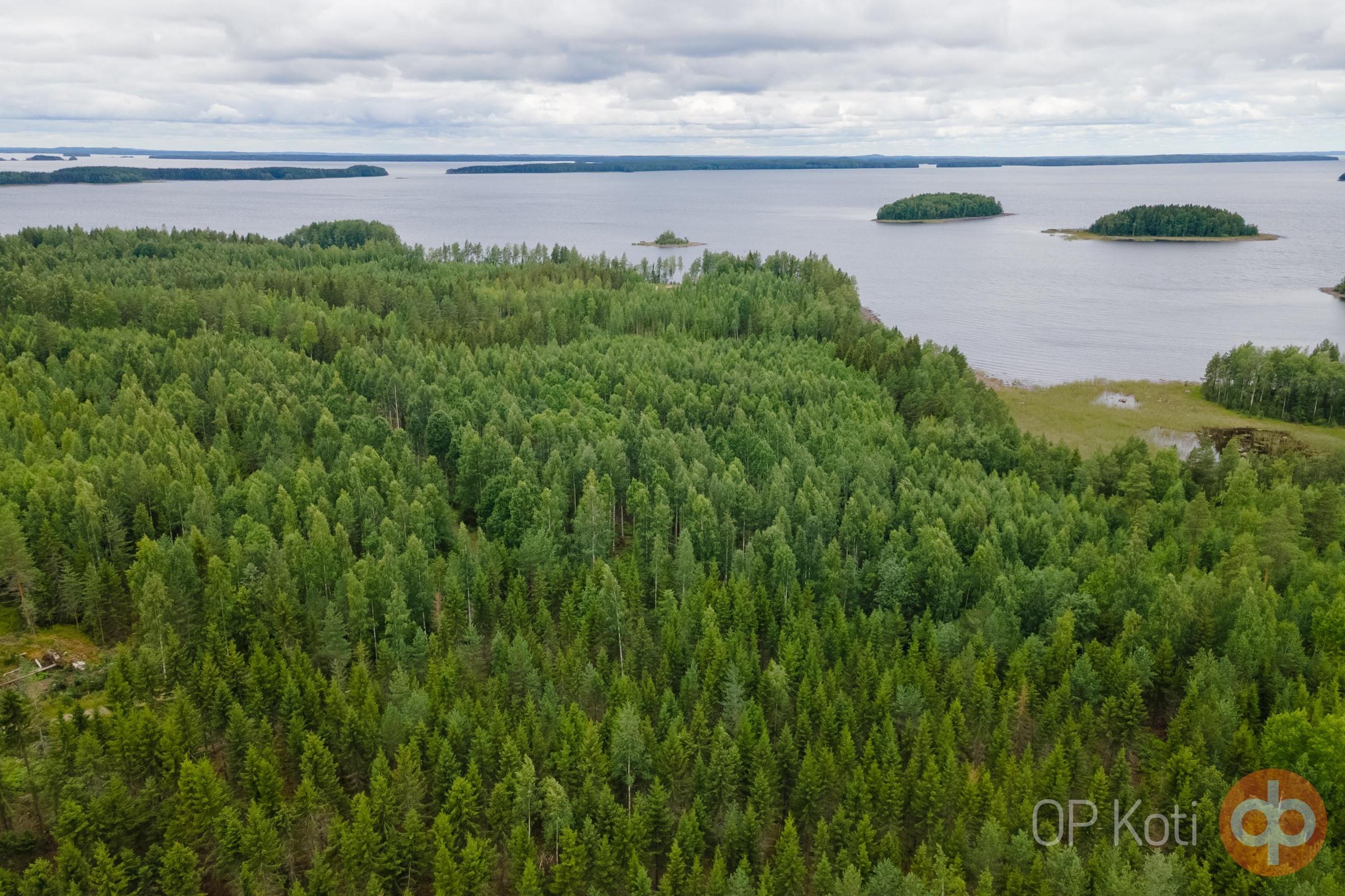 Kohdekuva 2