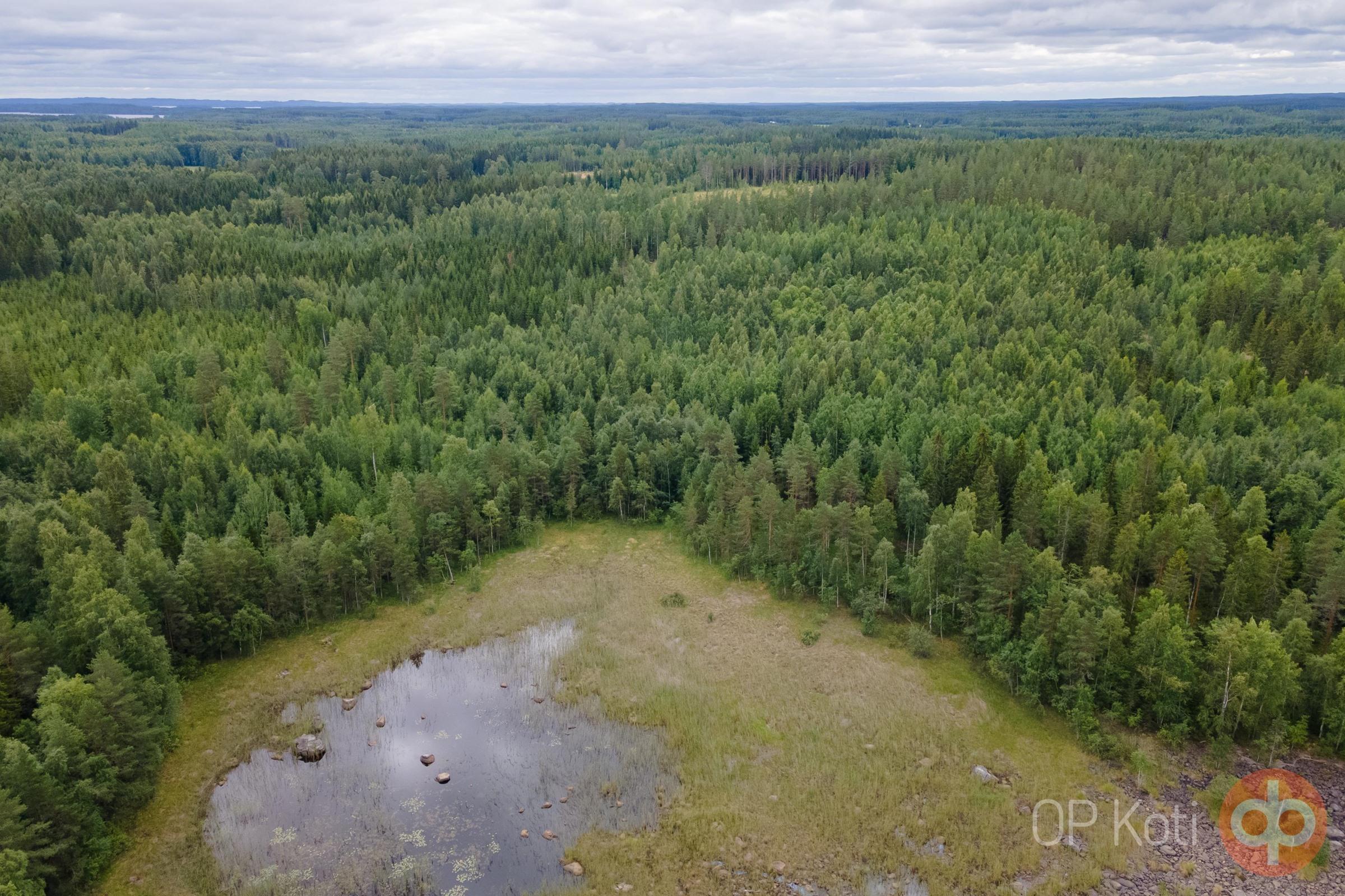Kohdekuva 13