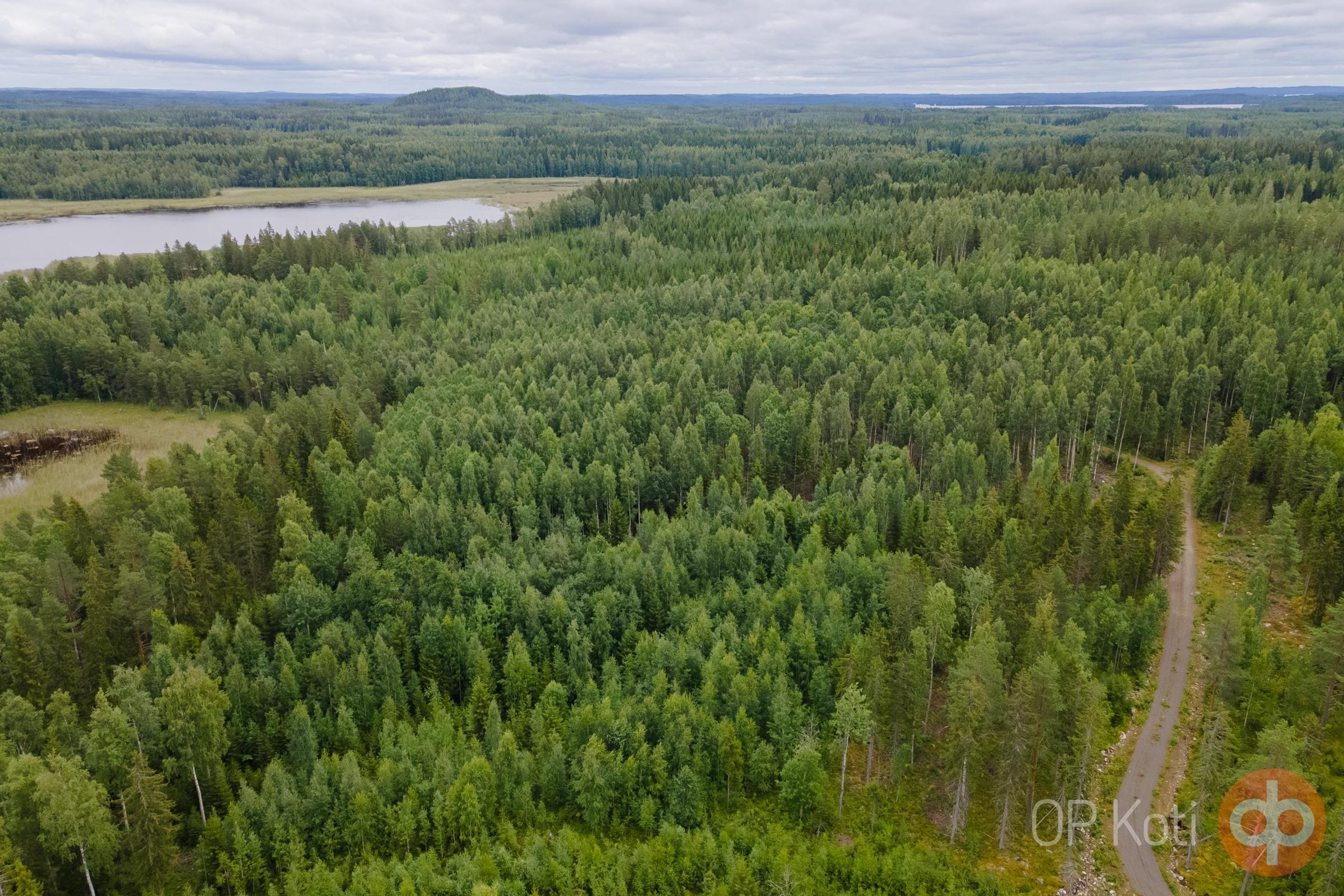 Kohdekuva 10