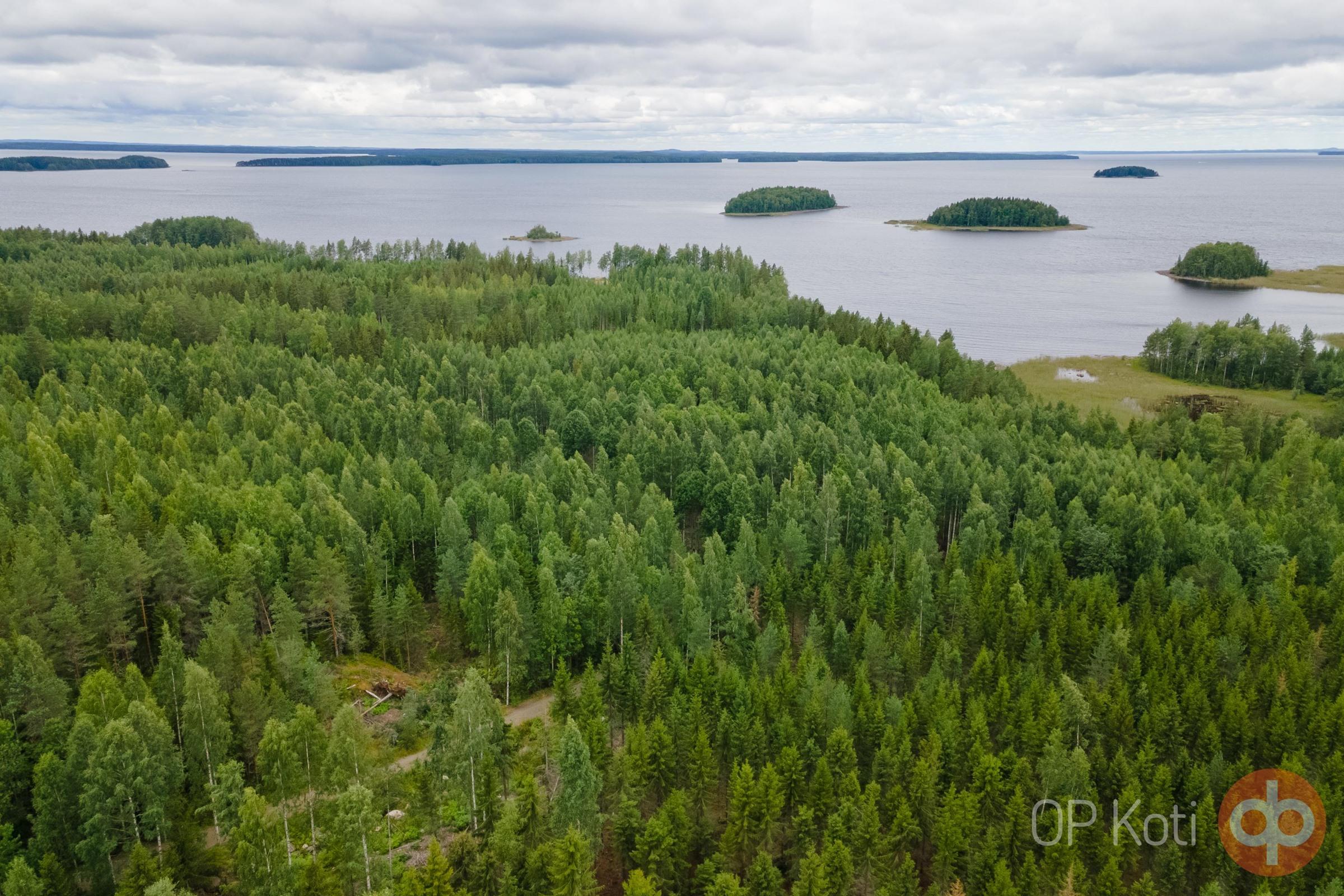 Kohdekuva 1