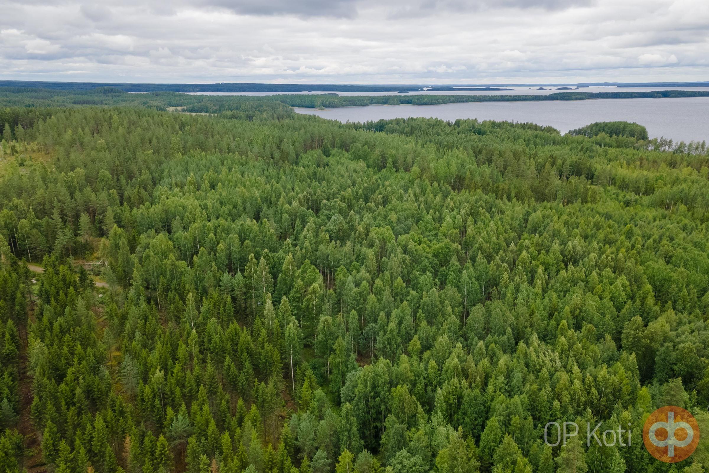 Kohdekuva 5