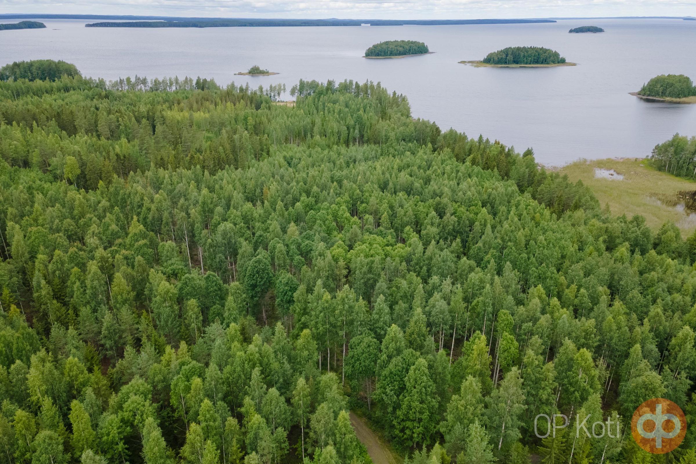 Kohdekuva 17
