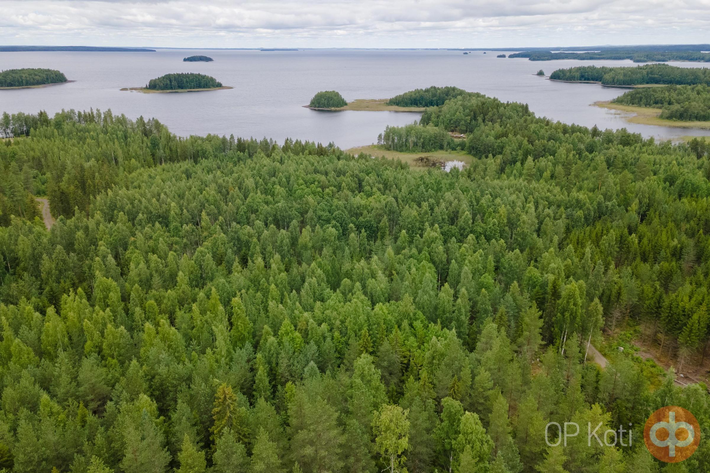 Kohdekuva 7