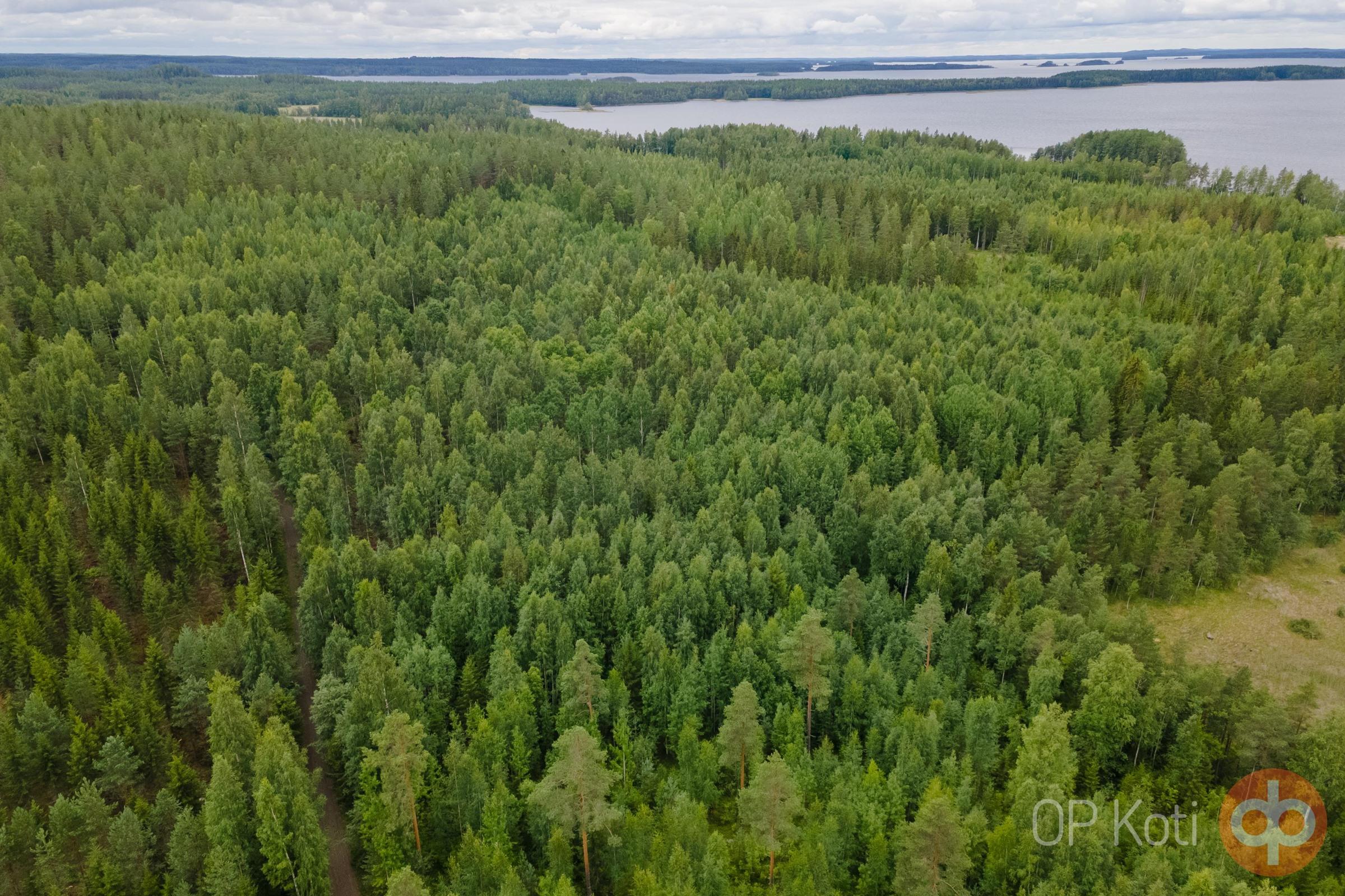 Kohdekuva 16