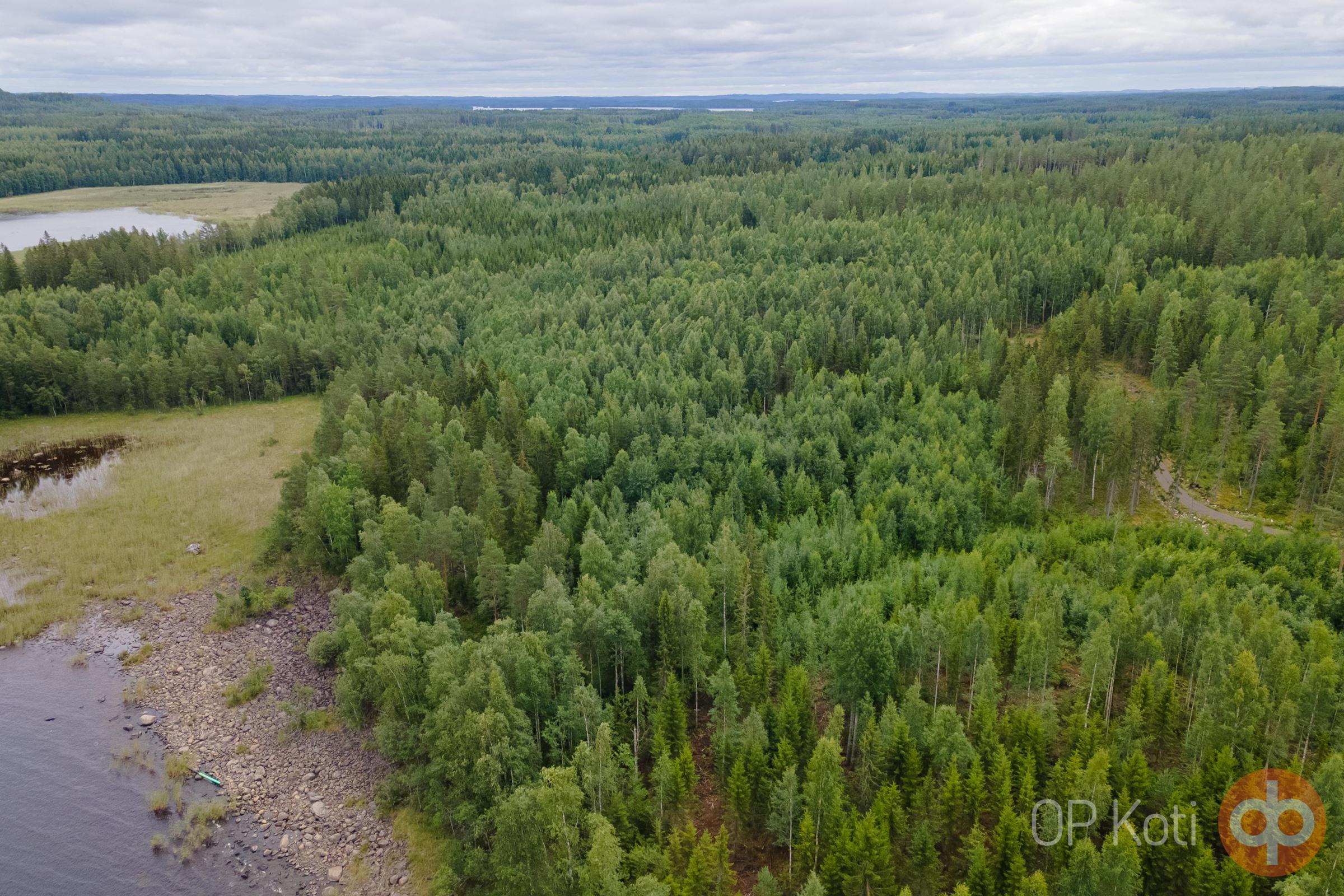 Kohdekuva 11