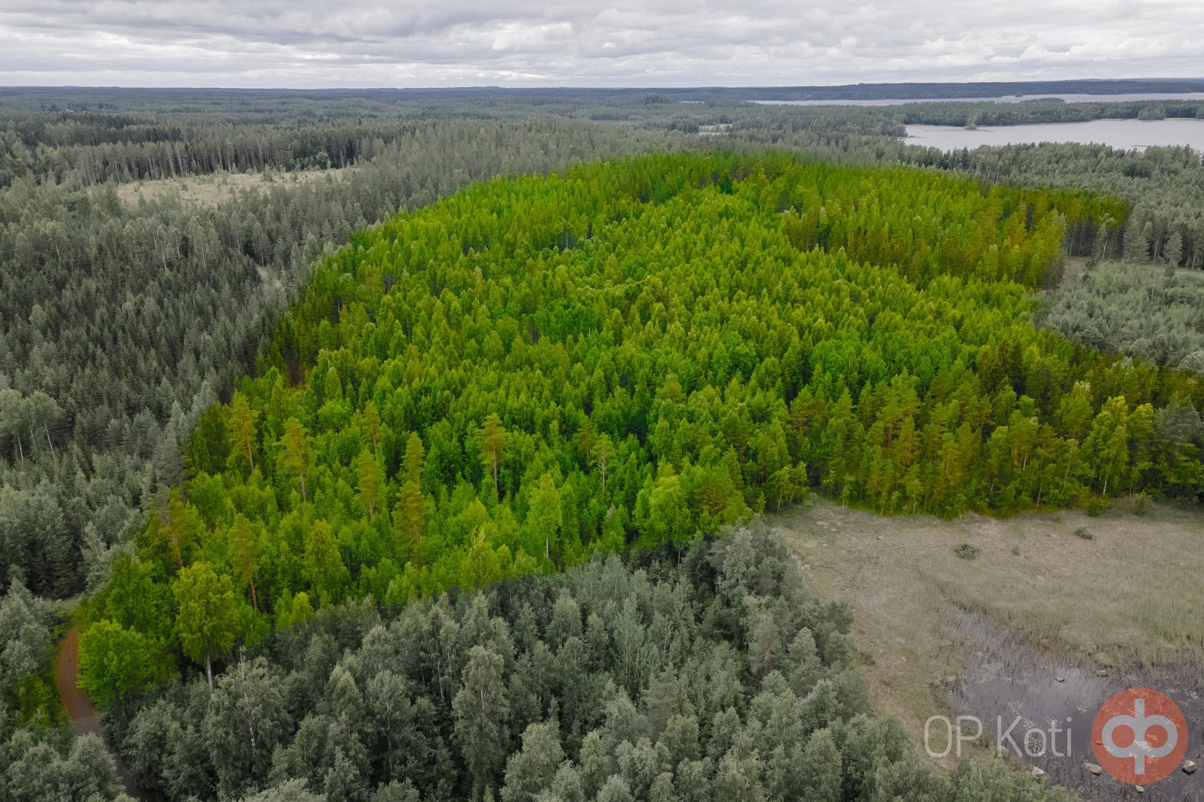Kohdekuva 15