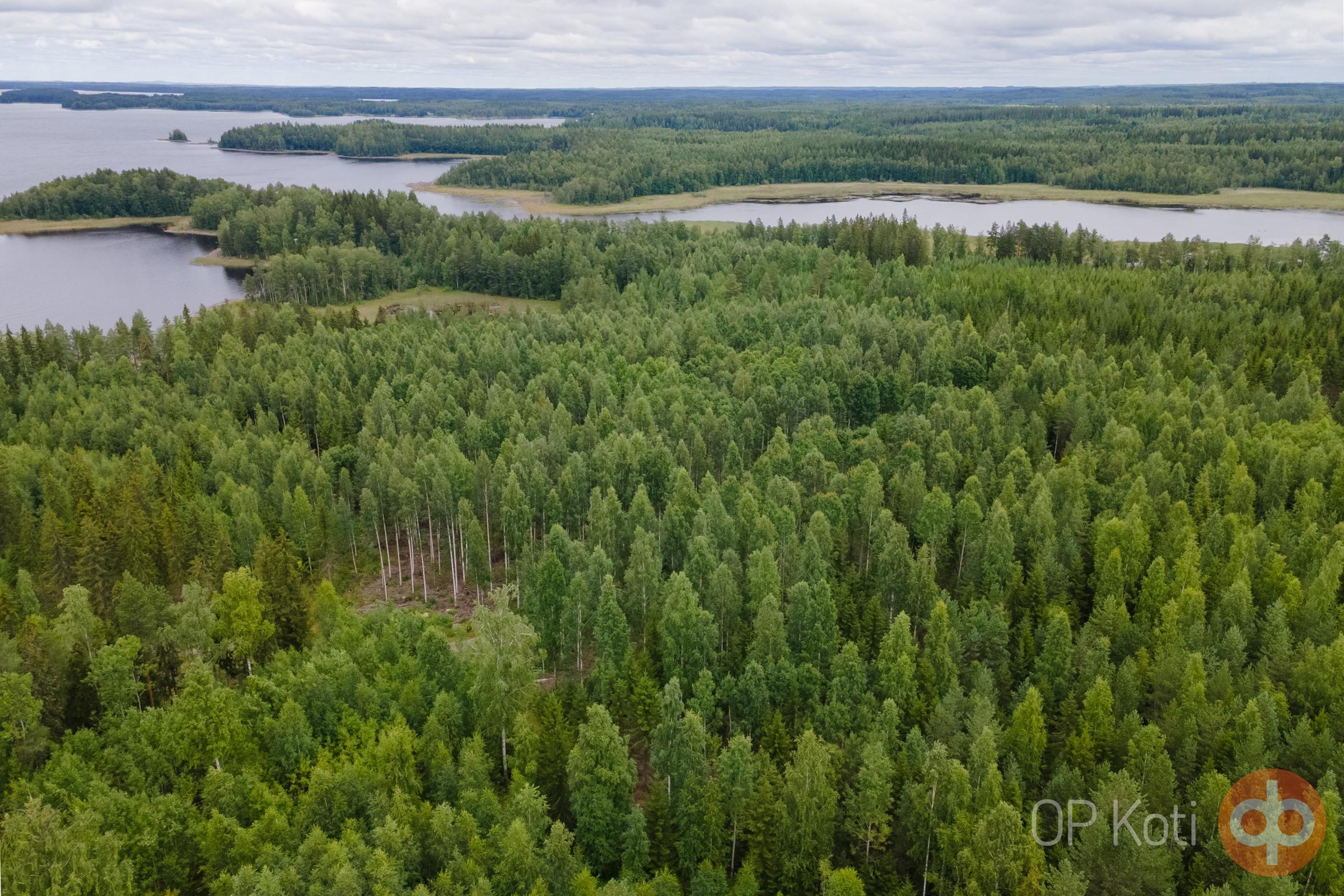 Kohdekuva 8