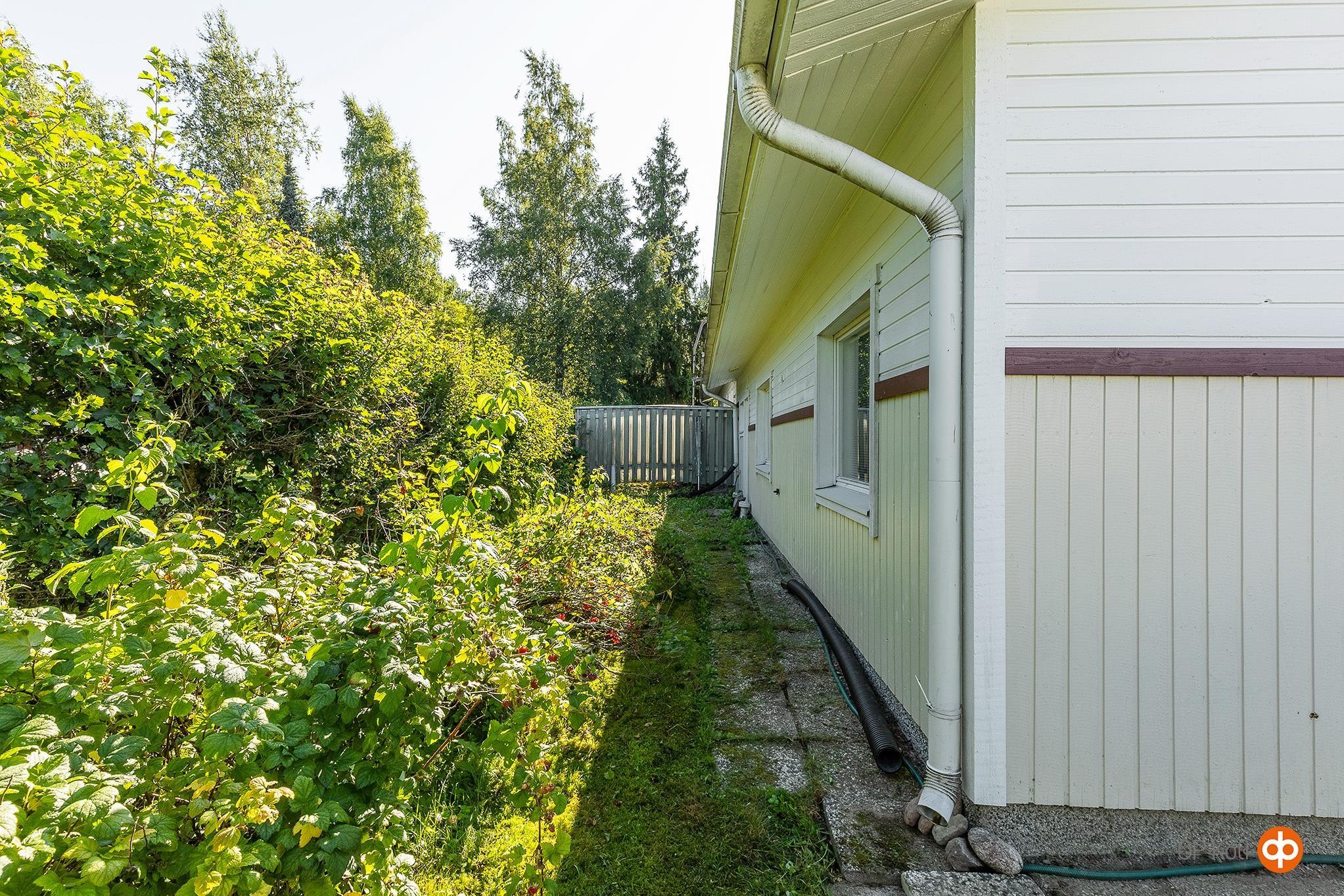 Kohdekuva 41