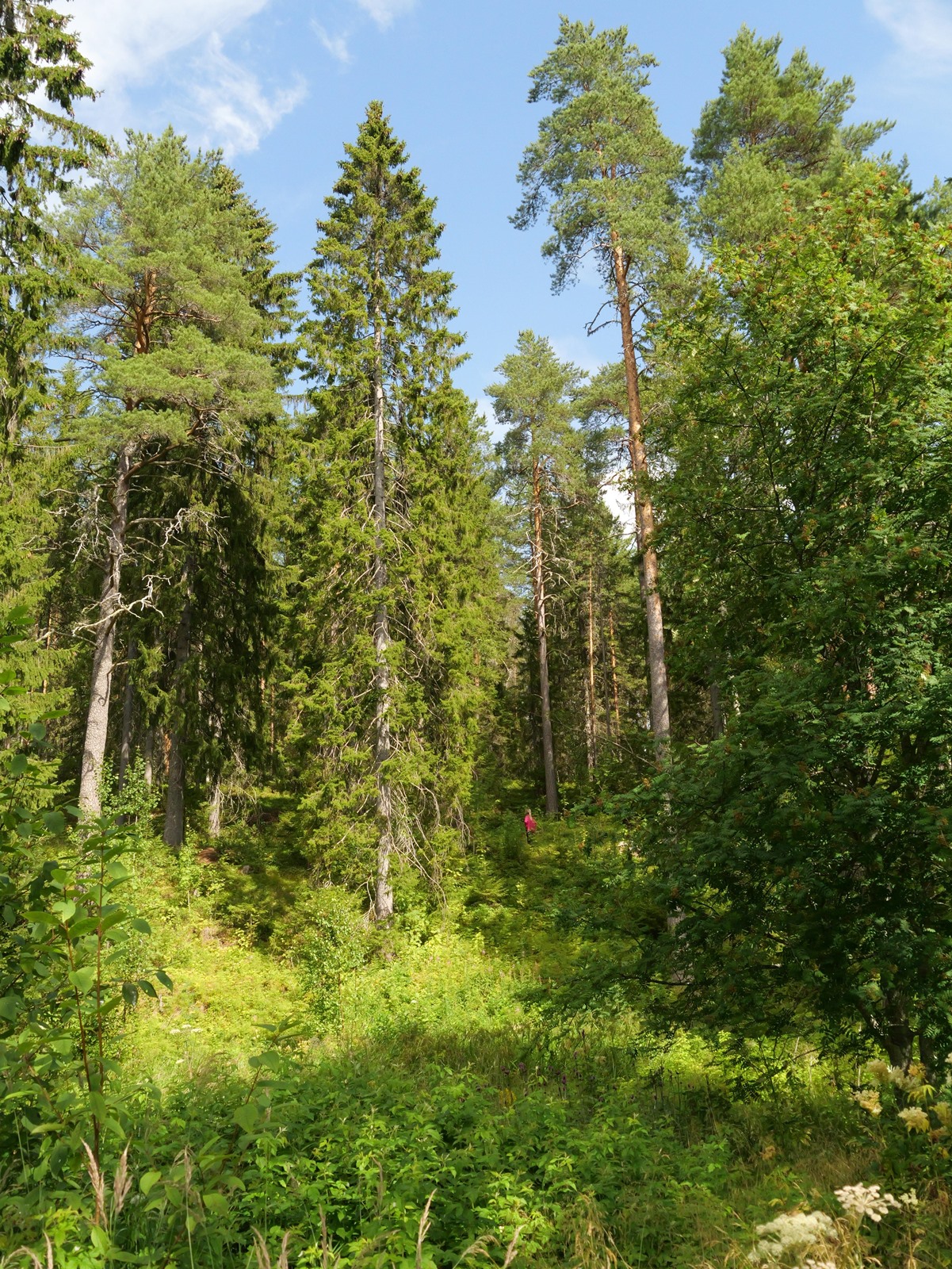 Kohdekuva 2