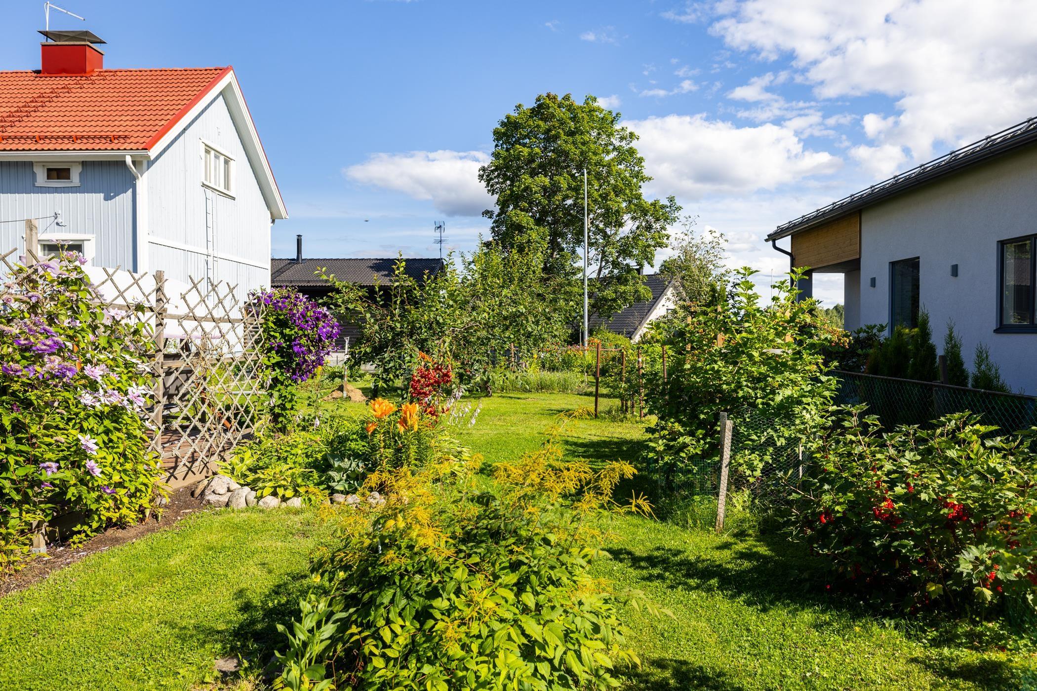 Kohdekuva 43