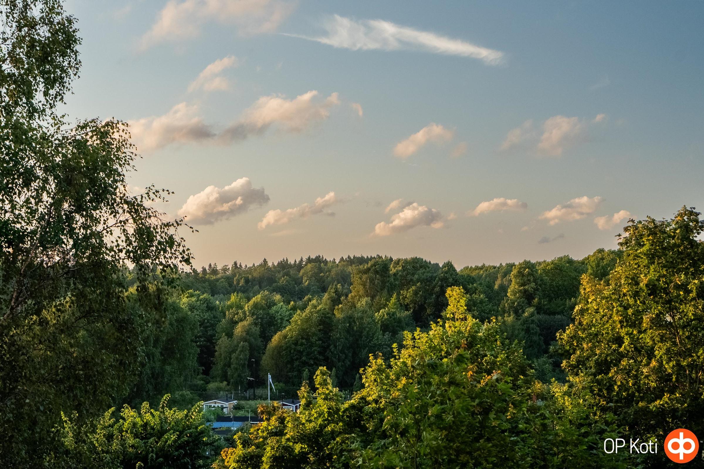 Kohdekuva 23