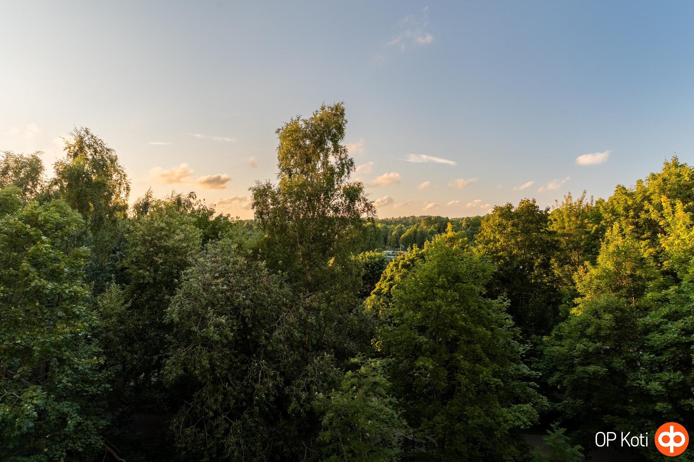 Kohdekuva 21