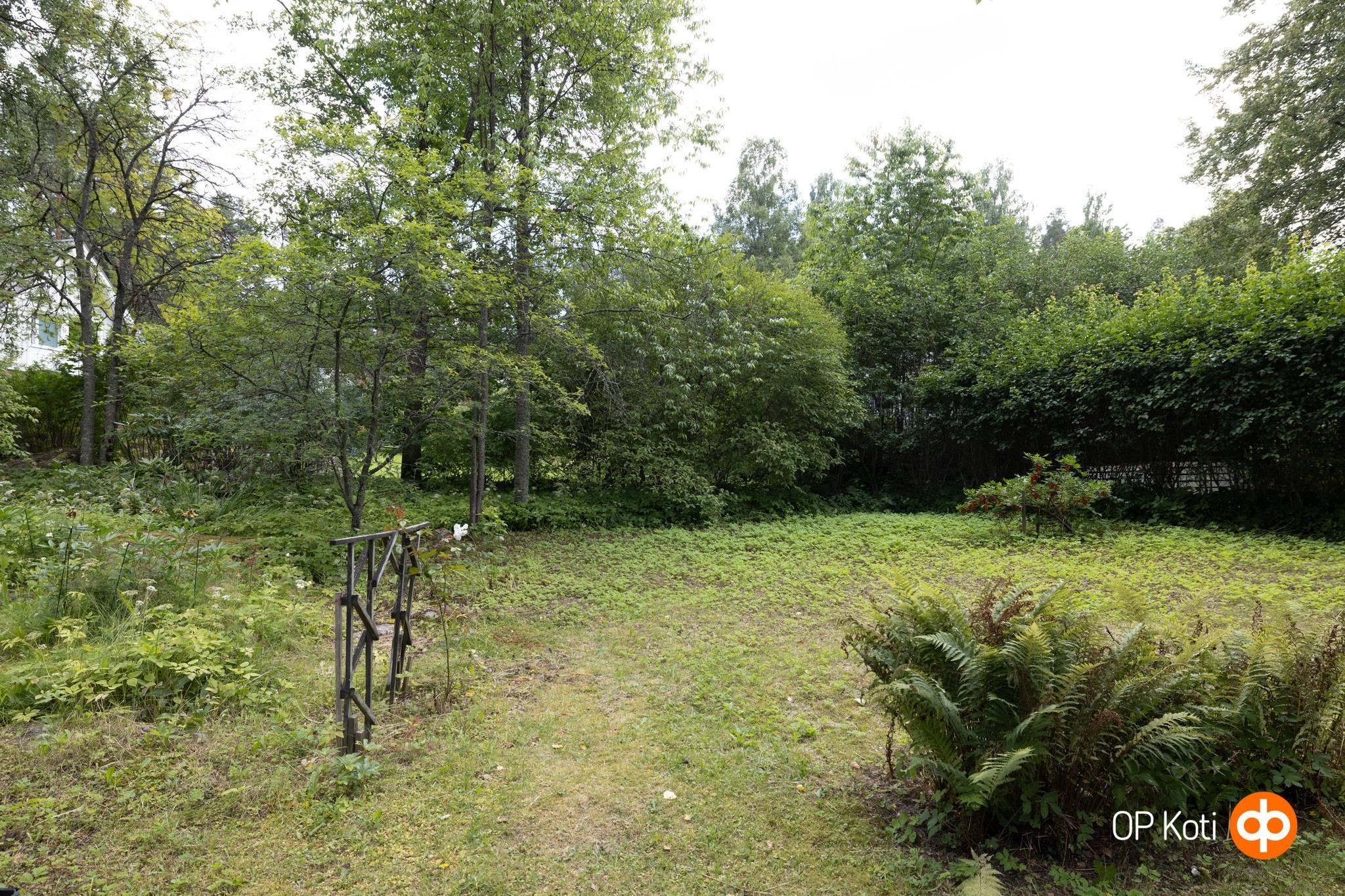 Kohdekuva 31