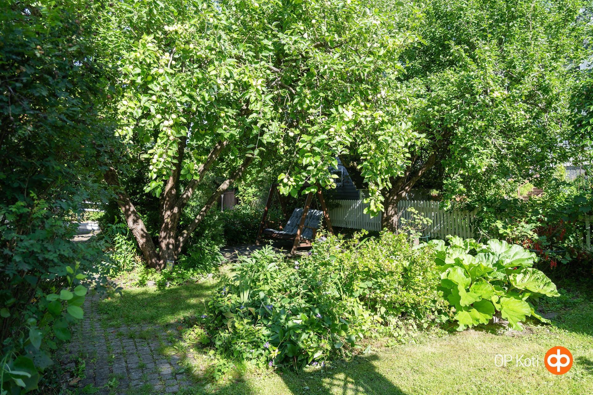 Kohdekuva 38