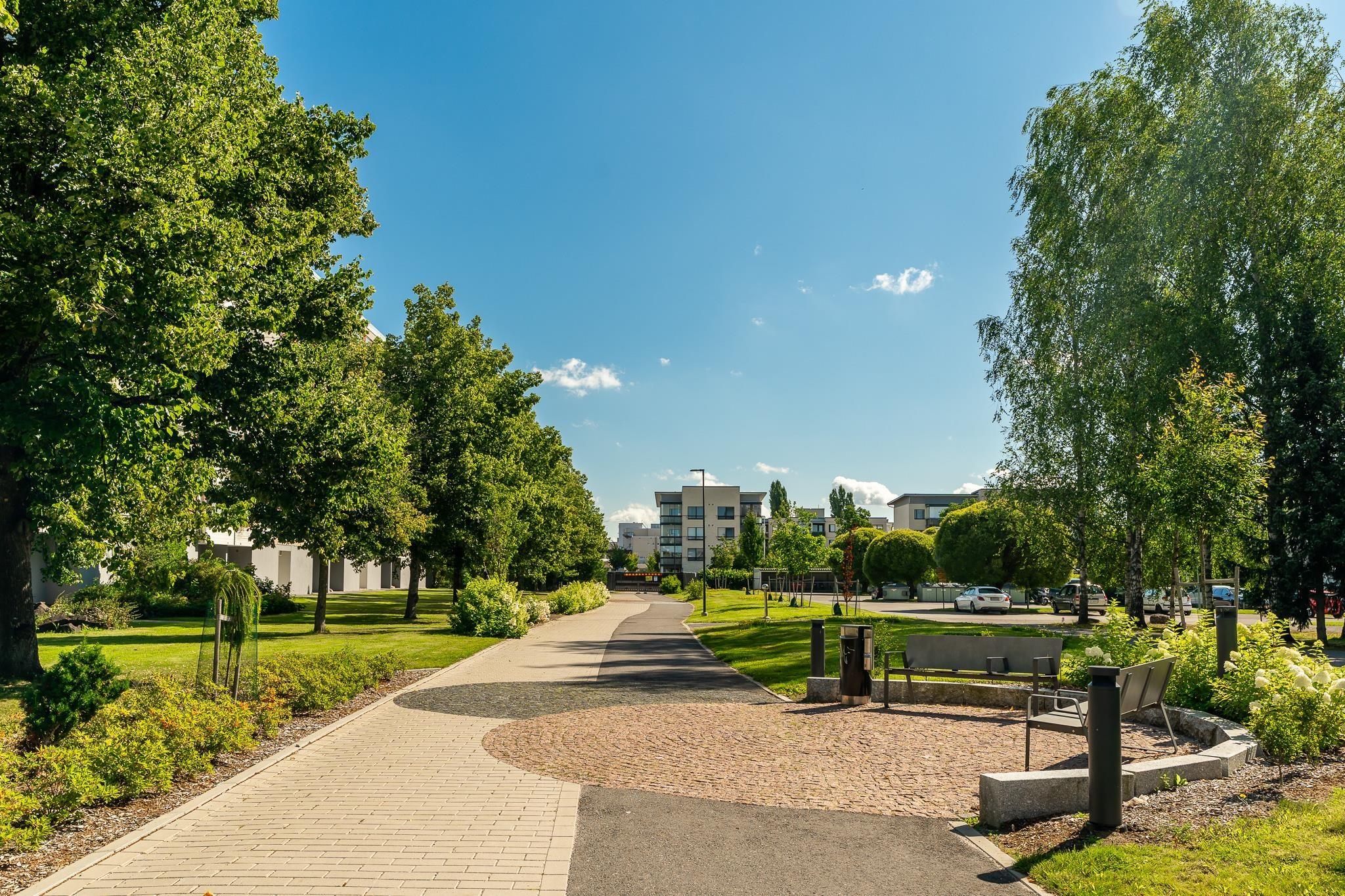 Kohdekuva 24