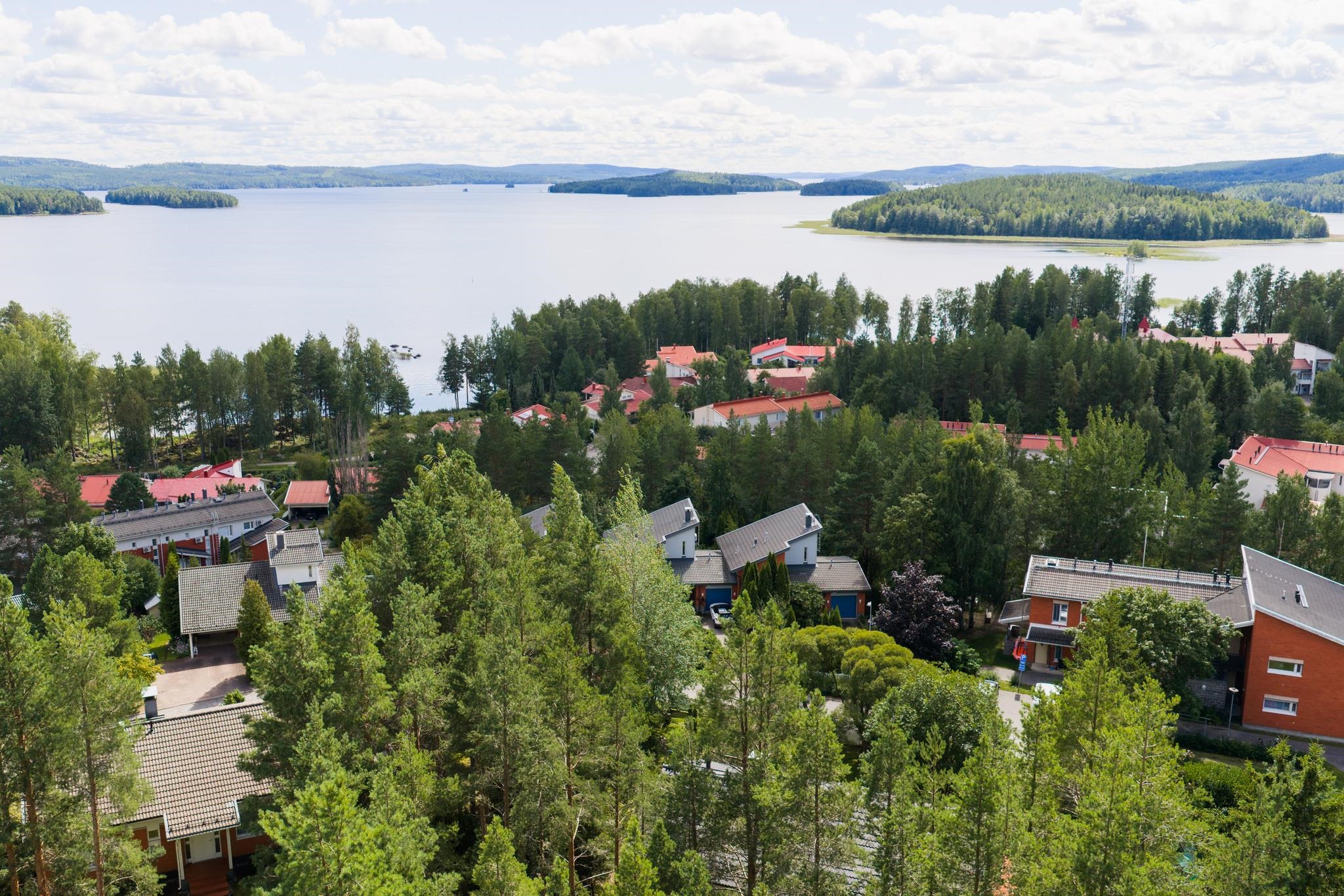 Kohdekuva 60