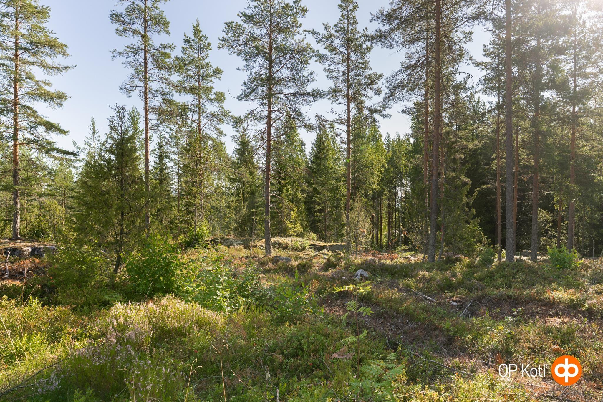 Kohdekuva 29
