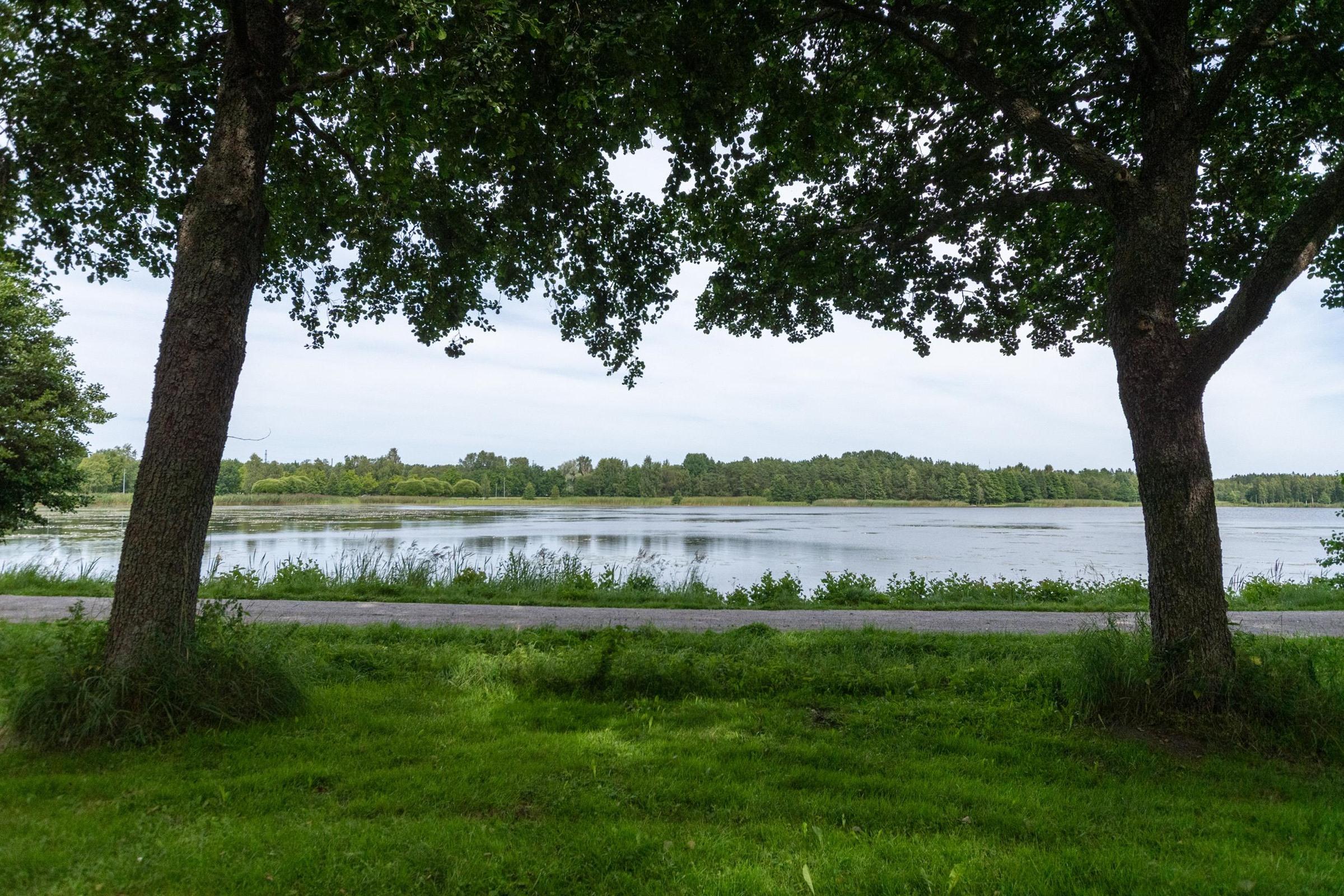 Kohdekuva 21