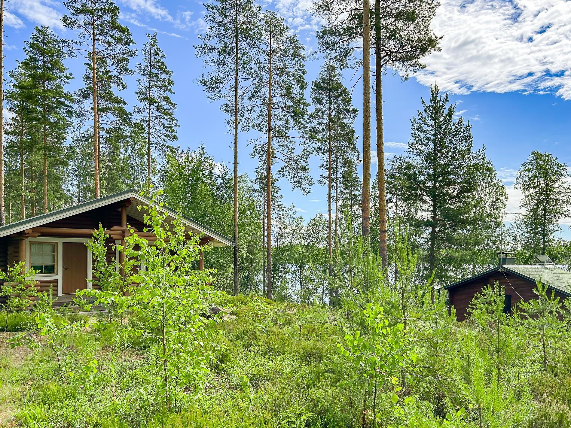 Kohdekuva 17