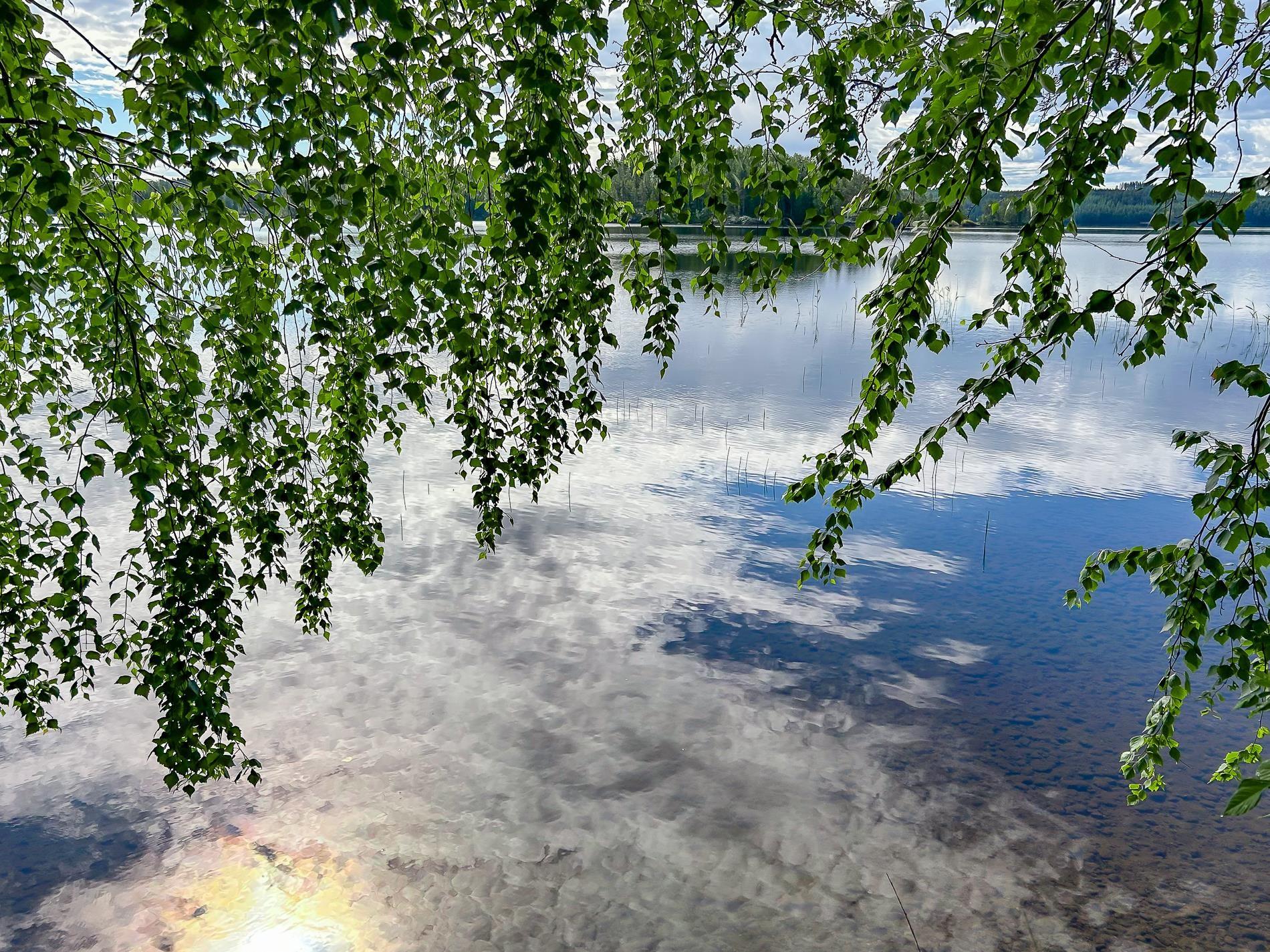 Kohdekuva 12