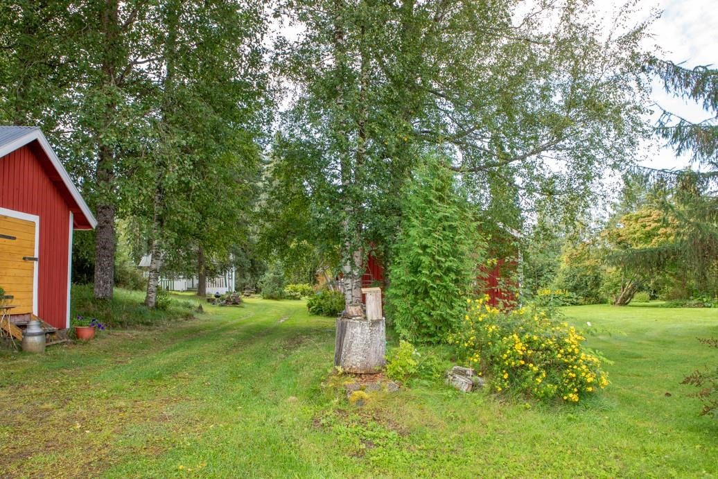 Kohdekuva 35