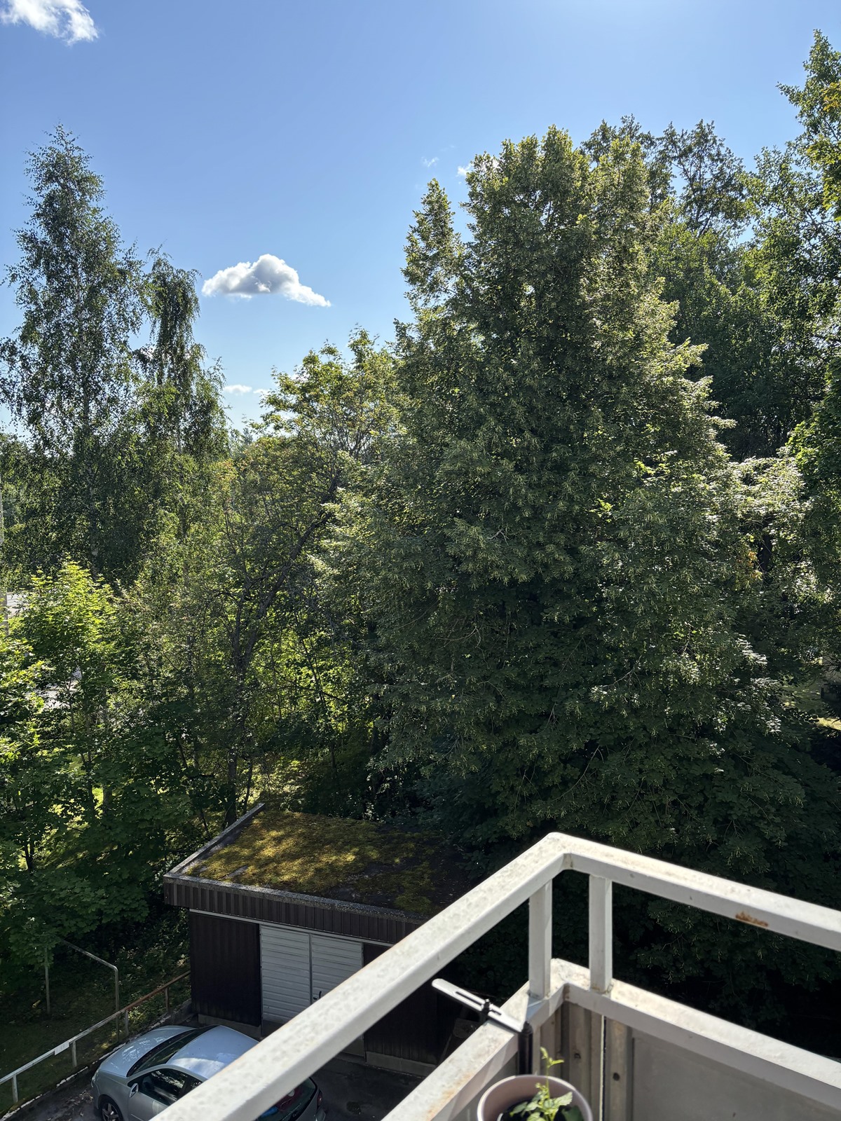 Kohdekuva 11