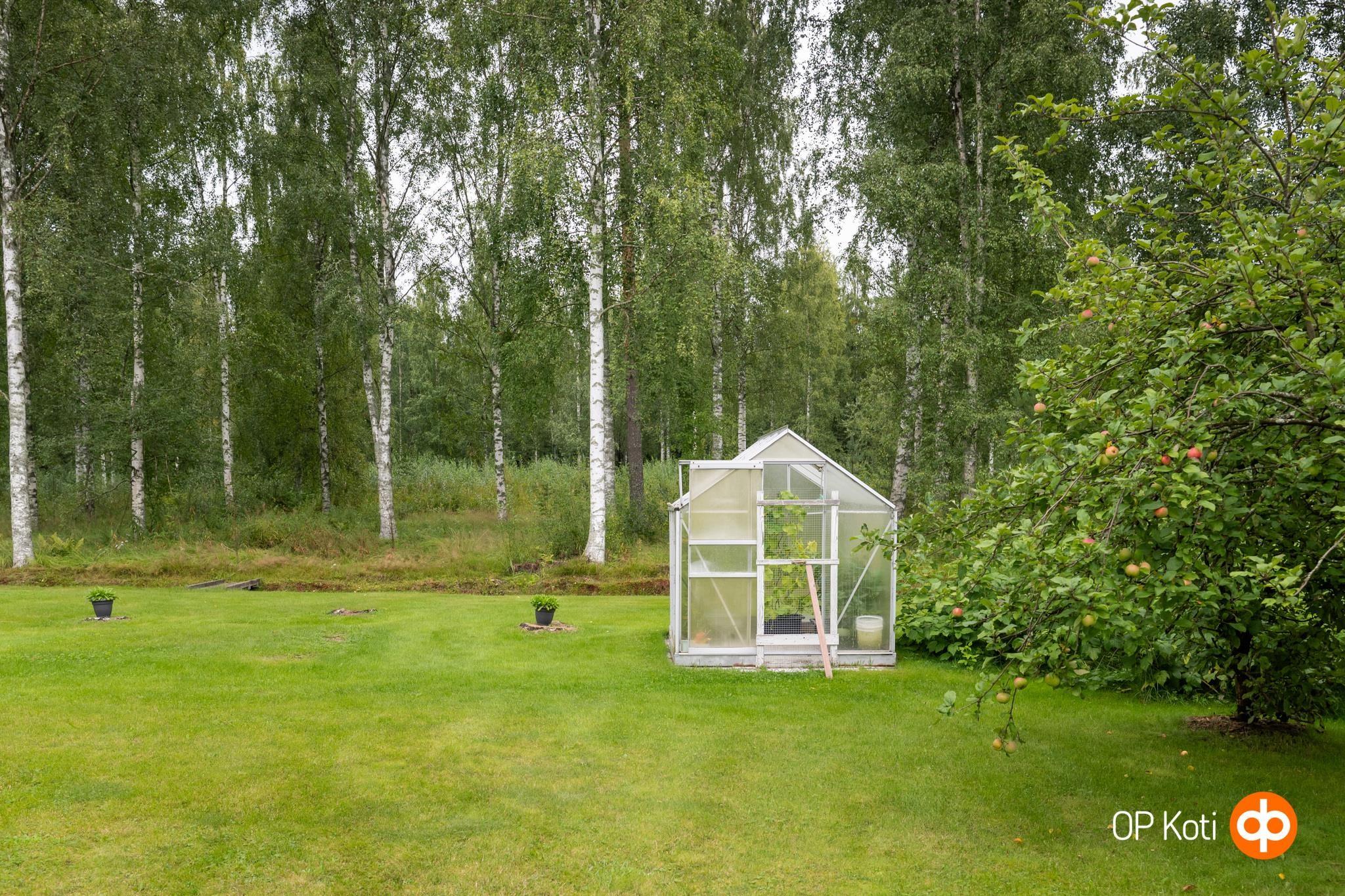 Kohdekuva 46