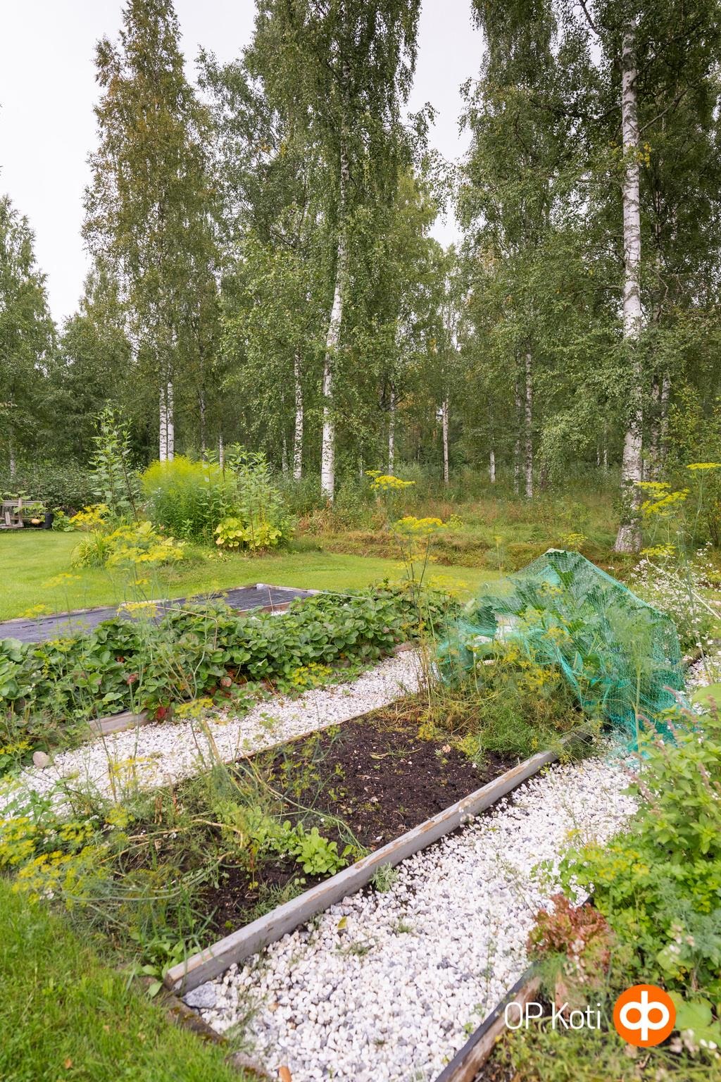 Kohdekuva 48