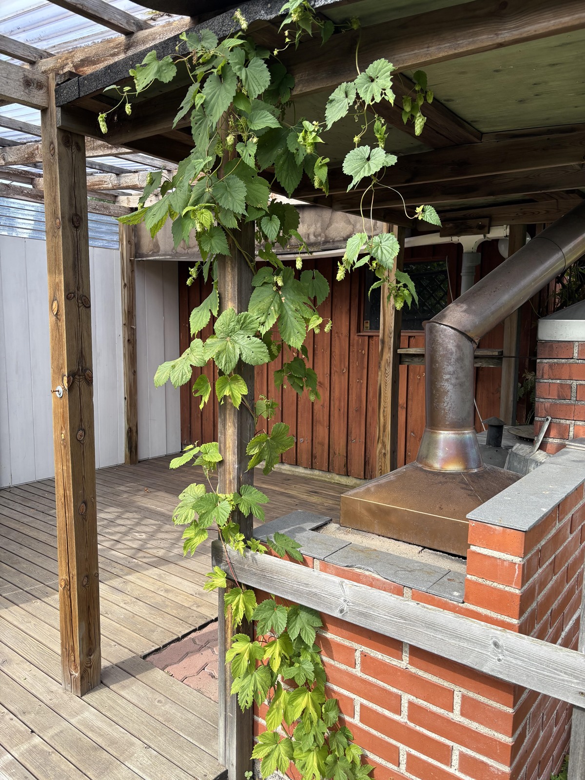 Kohdekuva 19